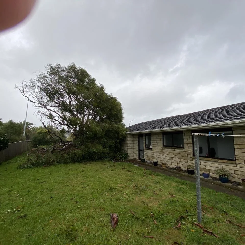 Luckily that missed the house for the most part! Paraparaumu Beach. Photo by Juliet Young