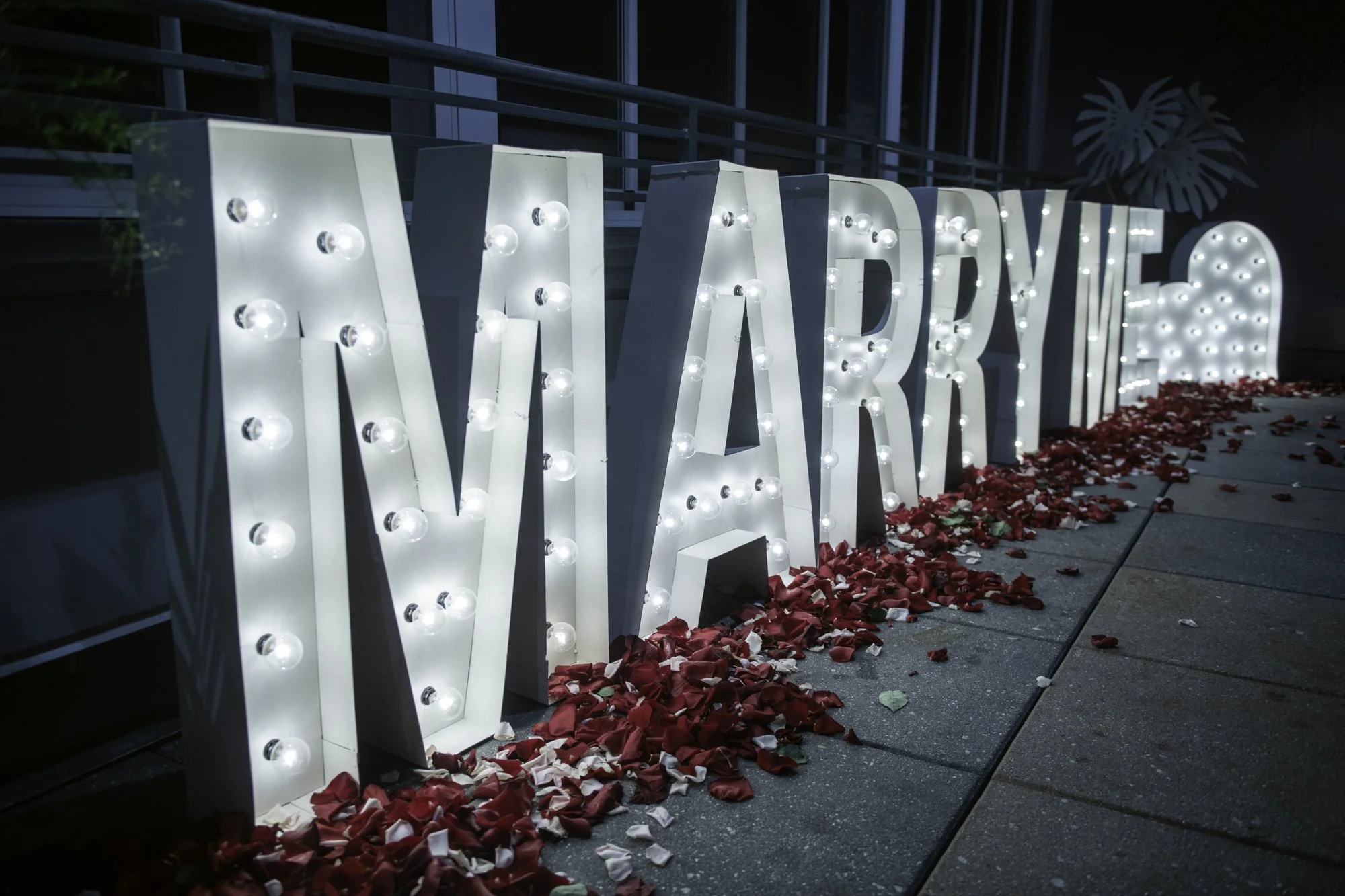 proposals 2023-0002.jpg