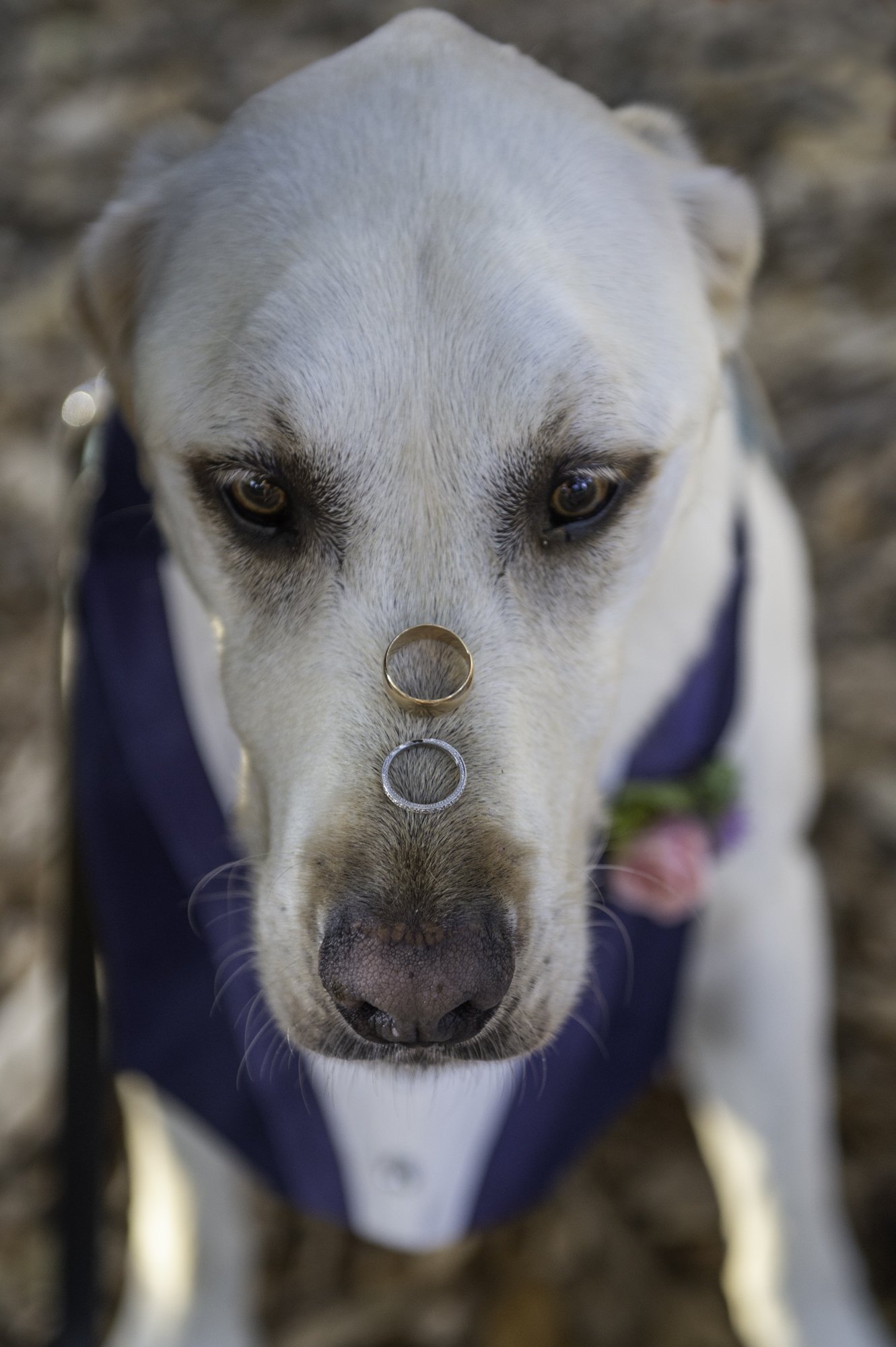 portraits 2023-0149.jpg