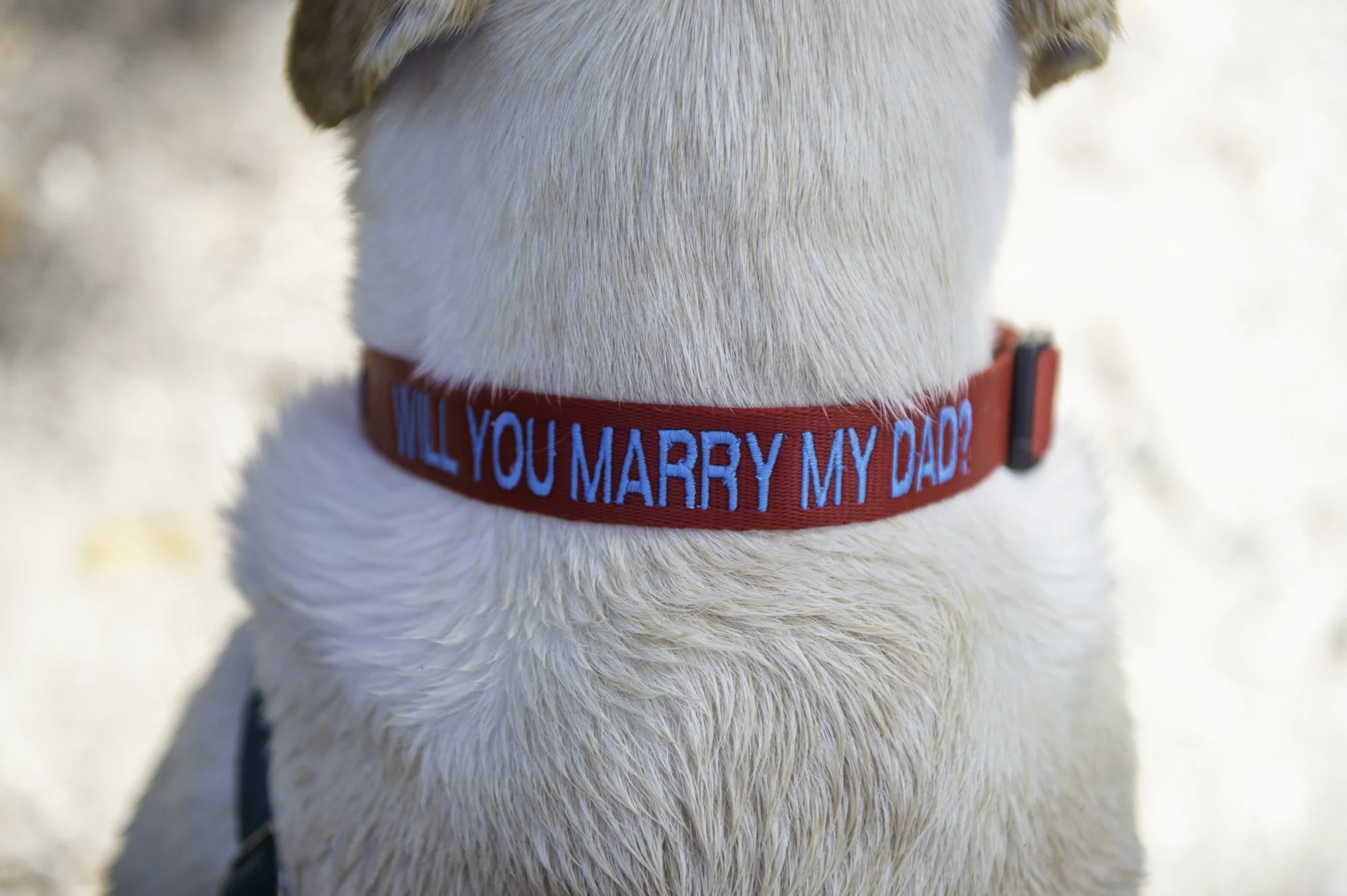 proposals 2023-0006.jpg