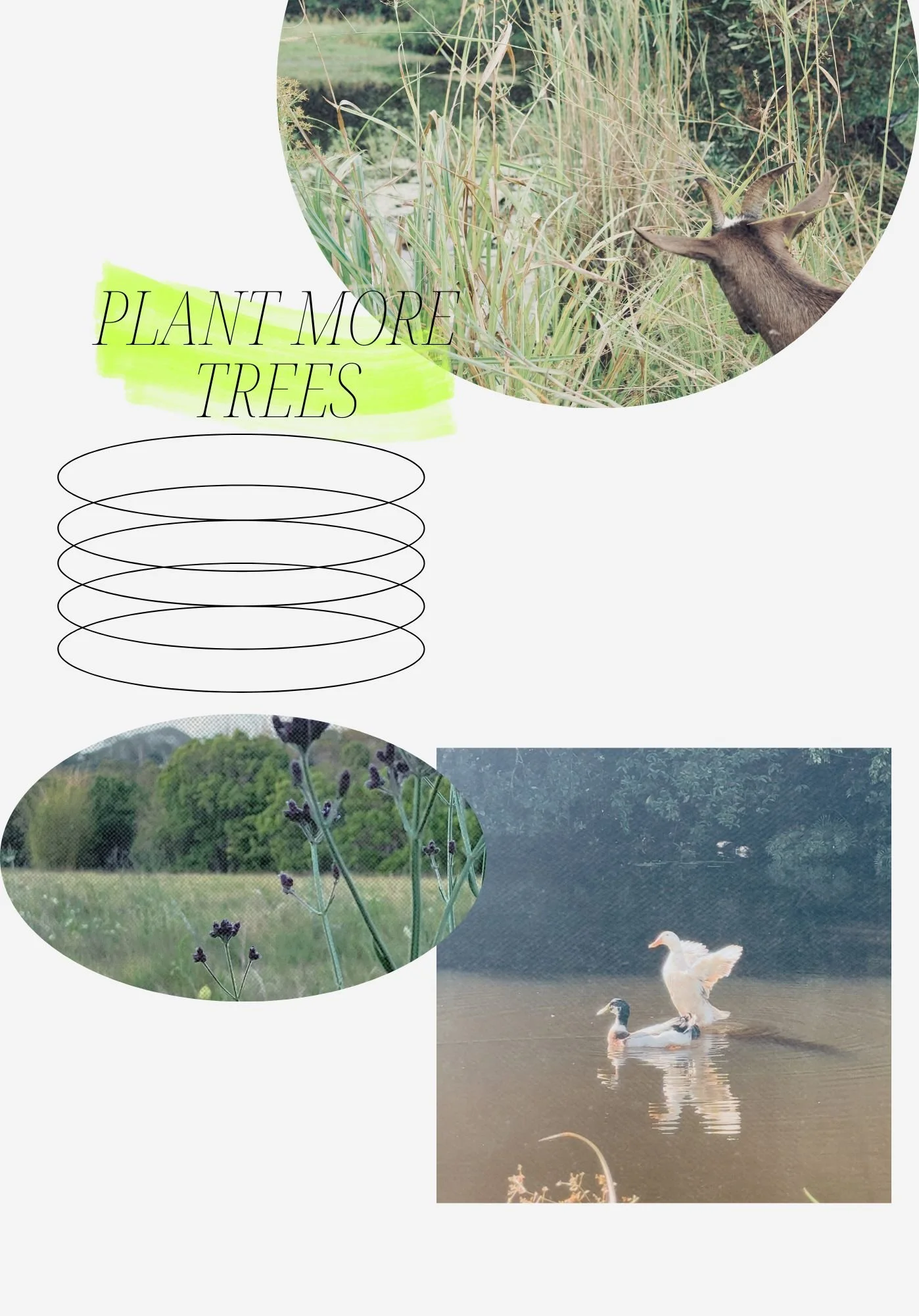 Water Pollution.jpg