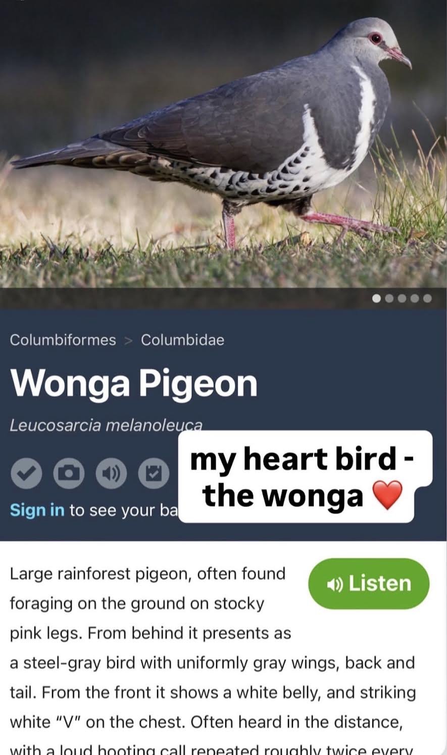0-3.jpeg