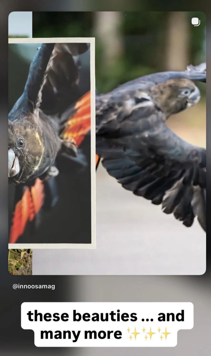 0-1.jpeg