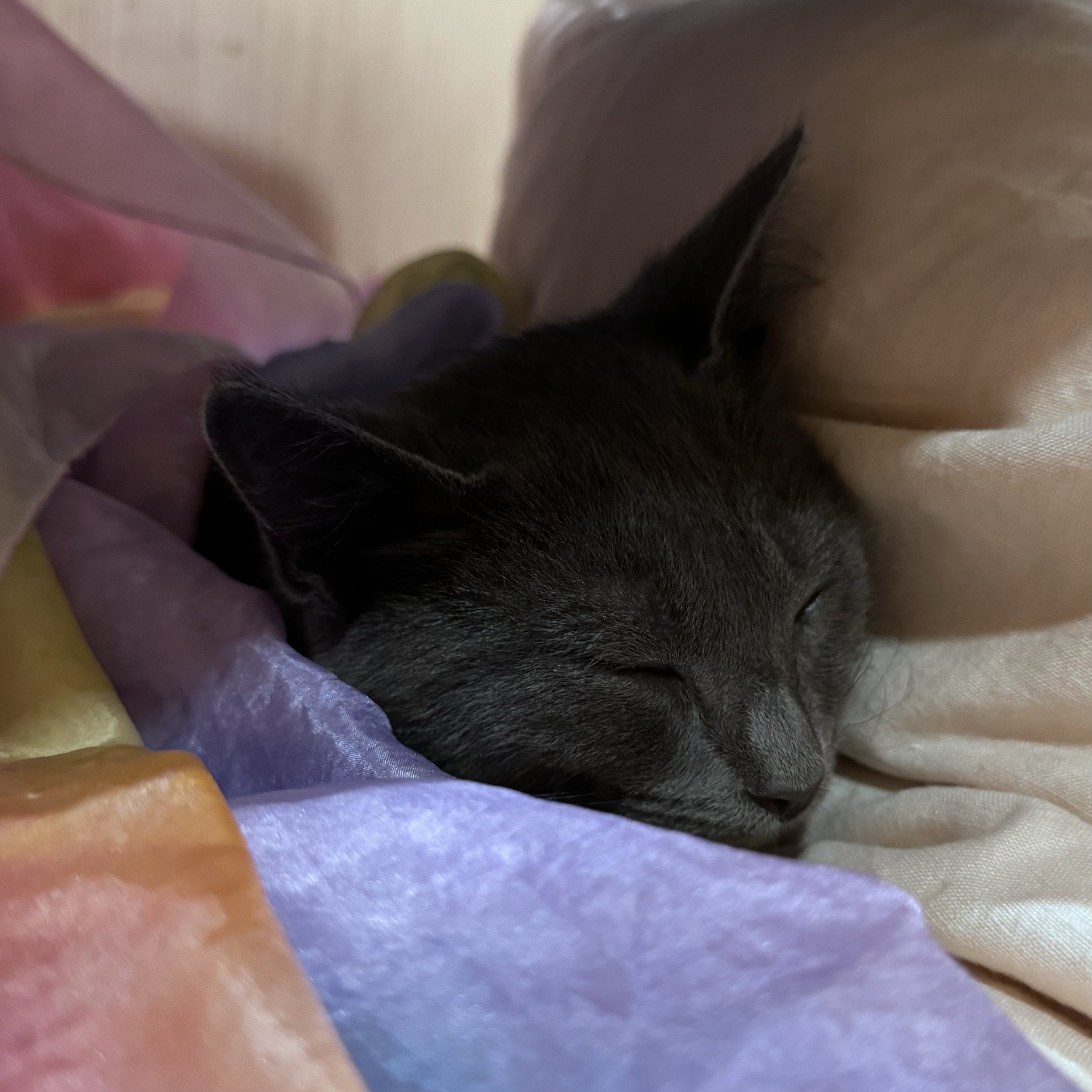 IMG_0614.jpeg