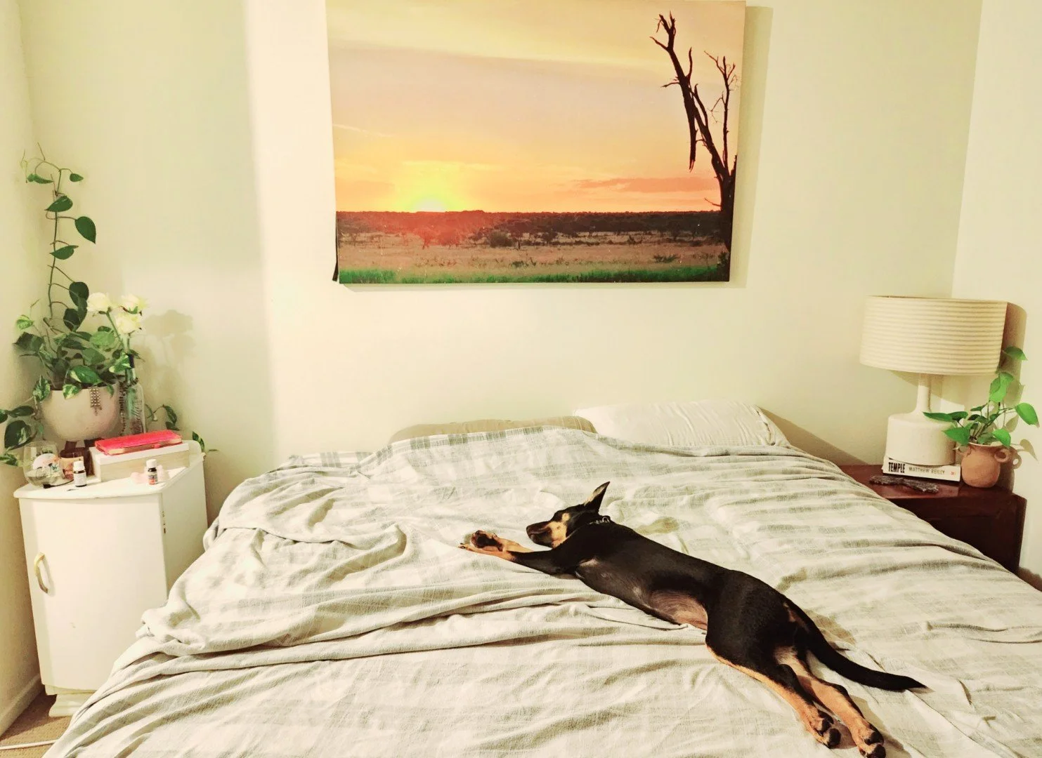 Resized_20240123_223933.jpeg