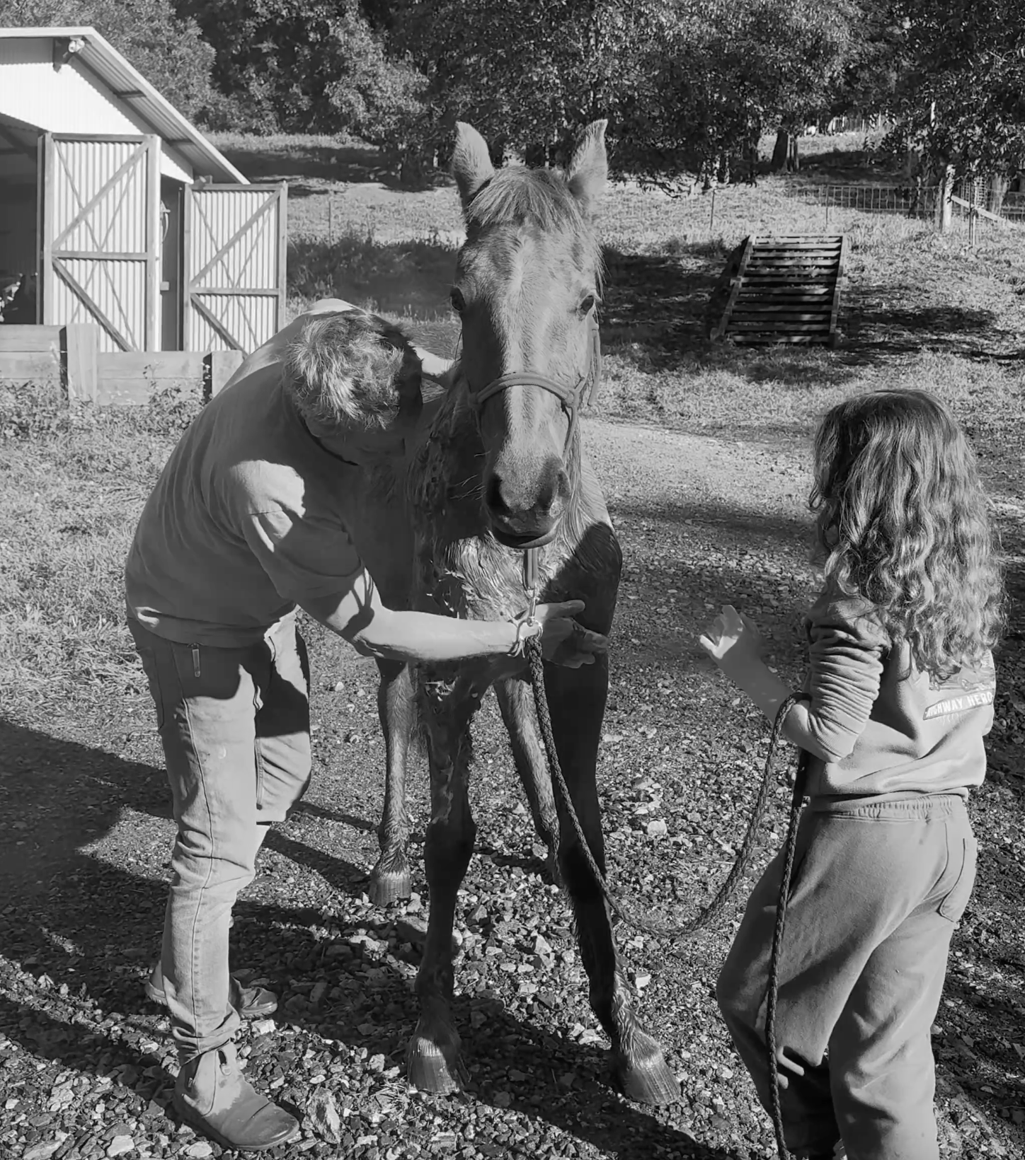 5 Aug 2026 - Washing the brumbies