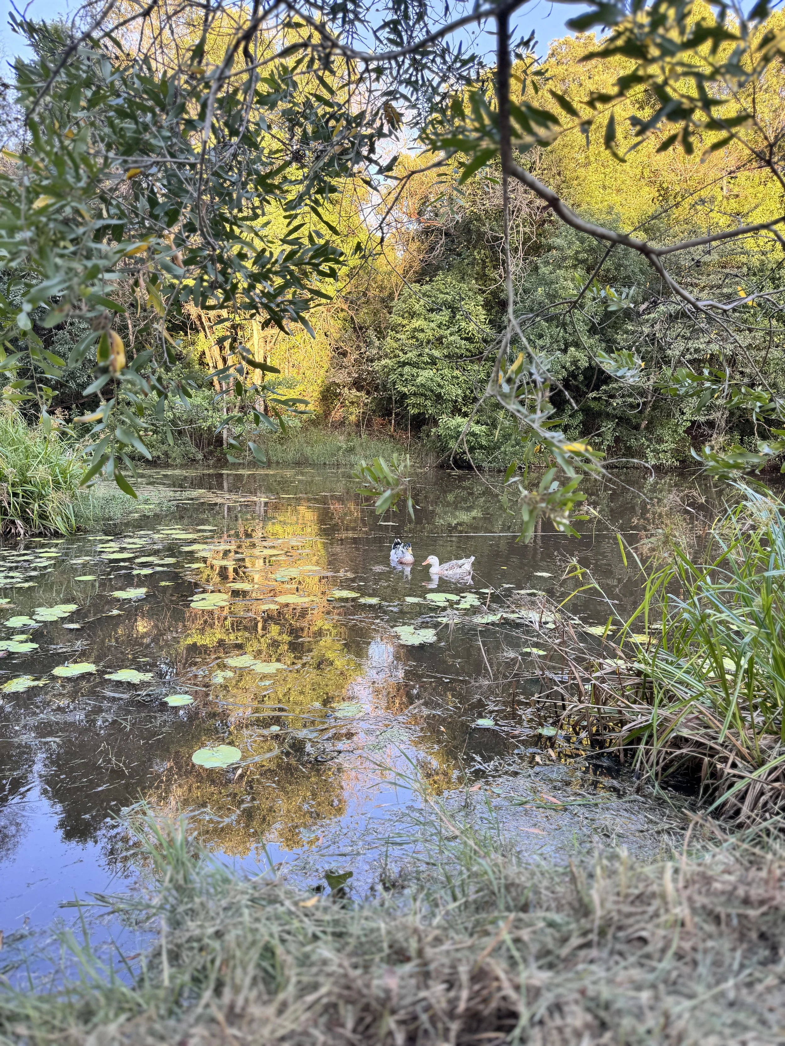 10 Apr 2024 - Dam diary