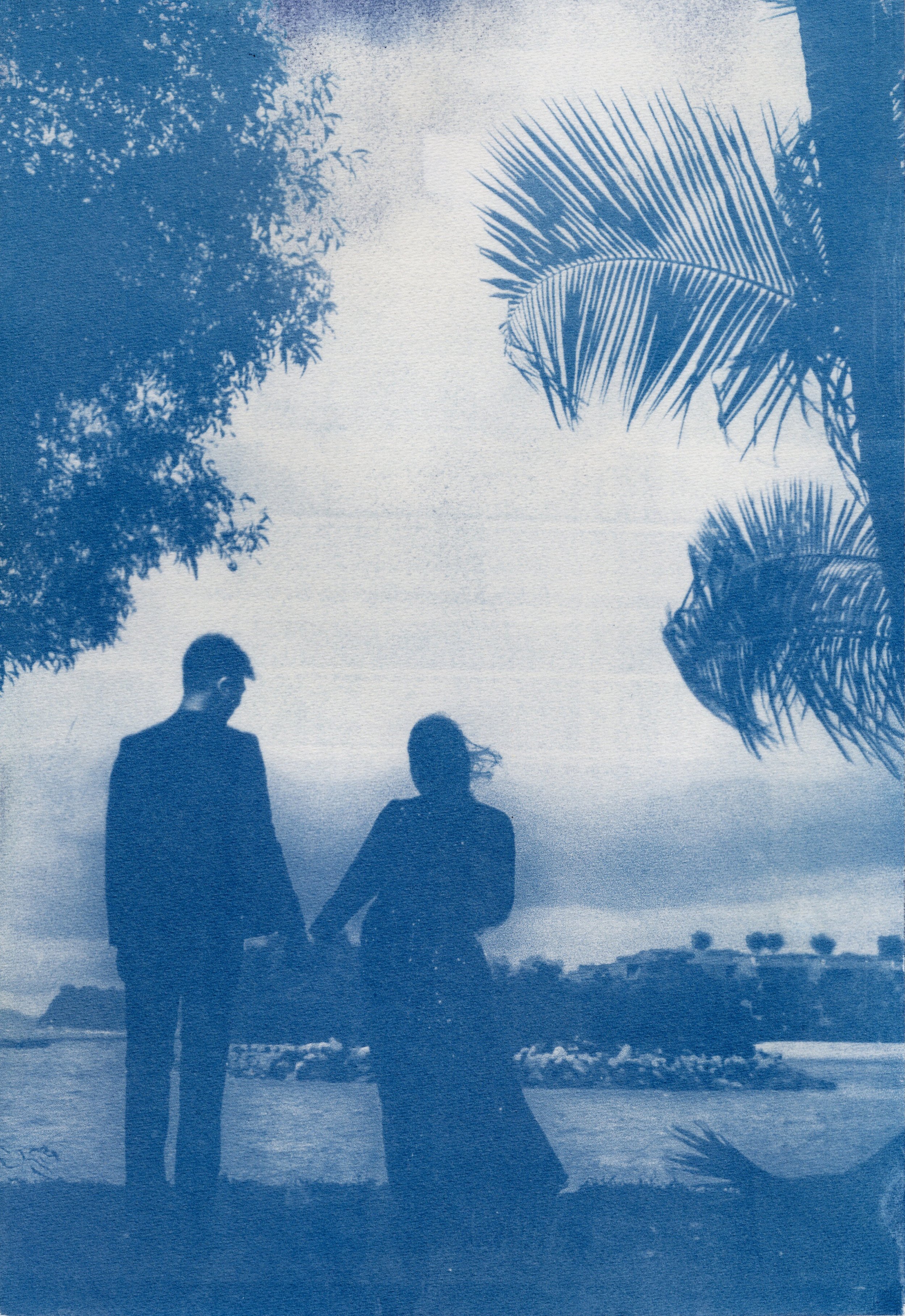 Cyanotype Back View Sentosa enhanced.jpg