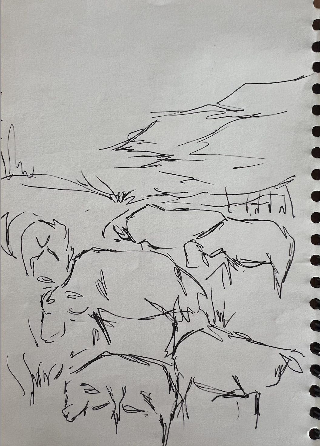 "Ireland I", 2024
Ink on Paper