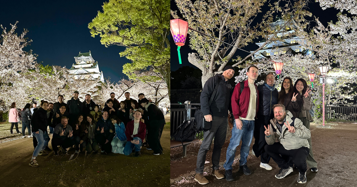 ★ブログアイキャッチ 夜桜.png