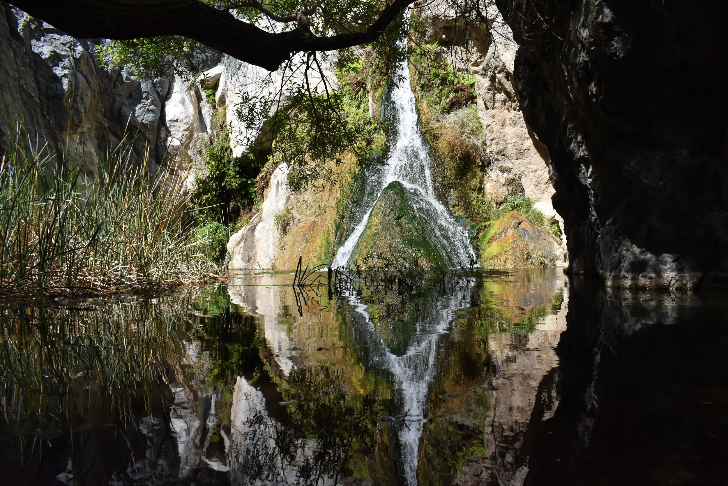 Webphoto_Waterfall_Watermarked.jpg