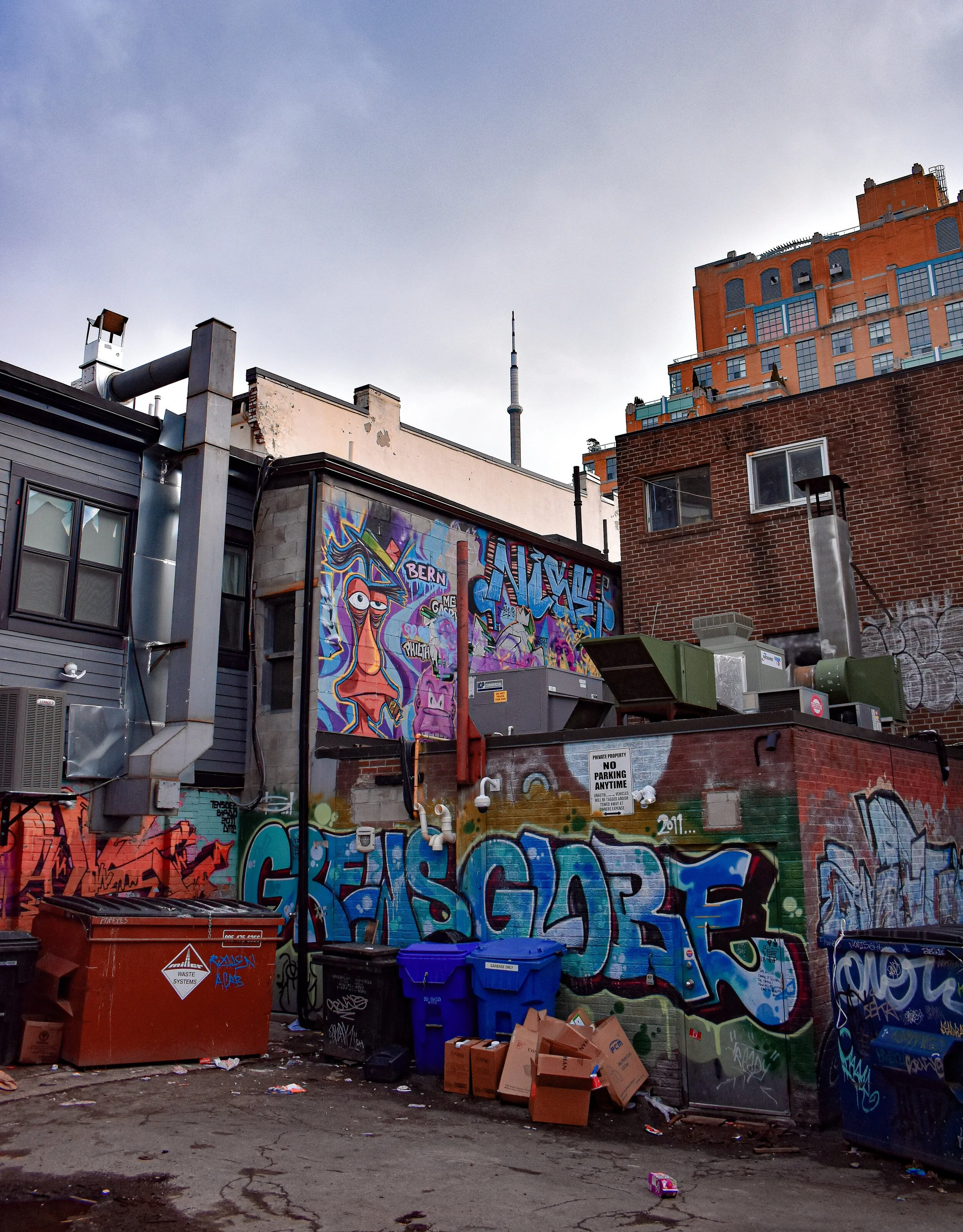 WebPhoto_Graffiti-3_Watermarked.jpg