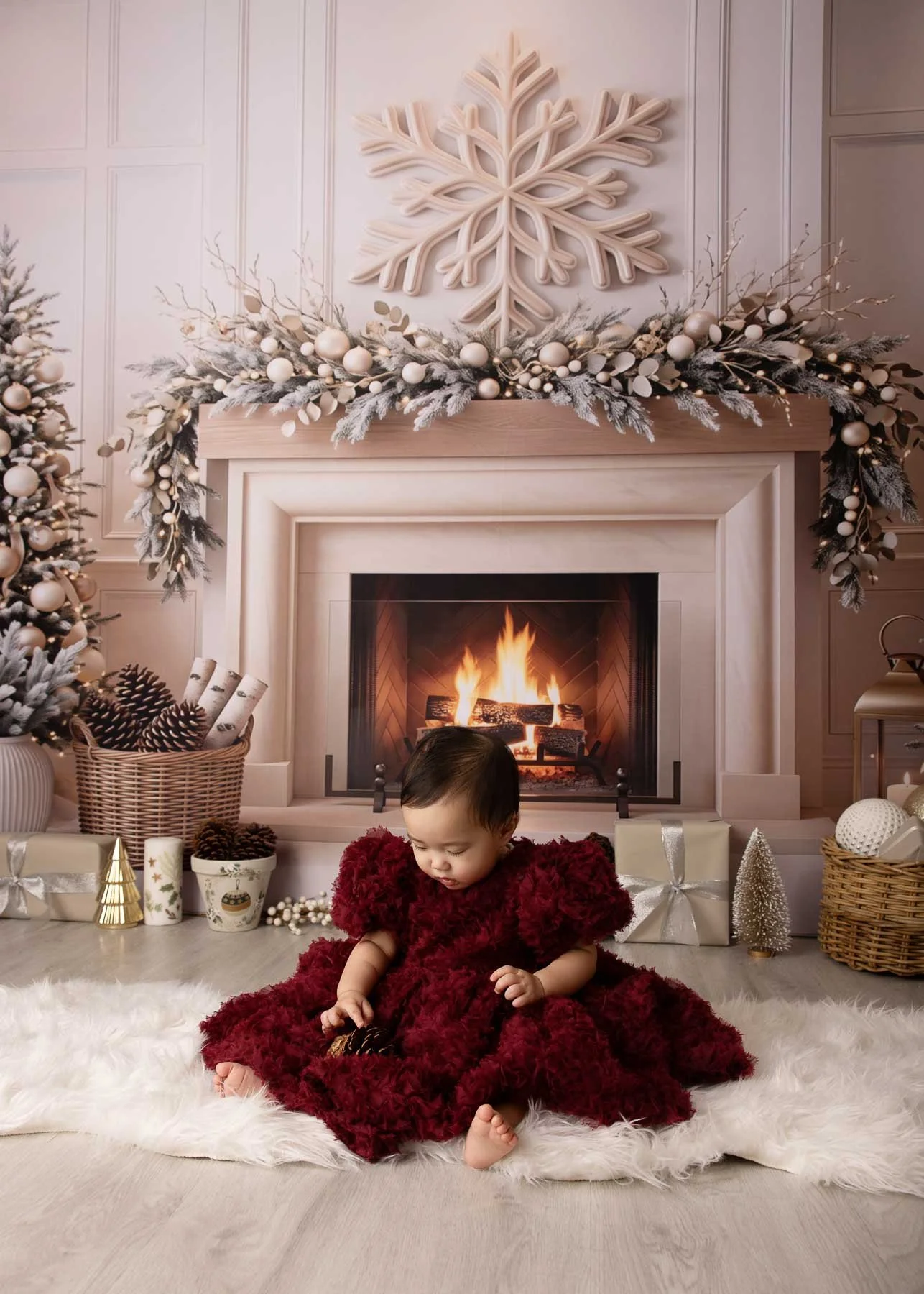 Xmas mini sessions 2026 Sydney North Shore