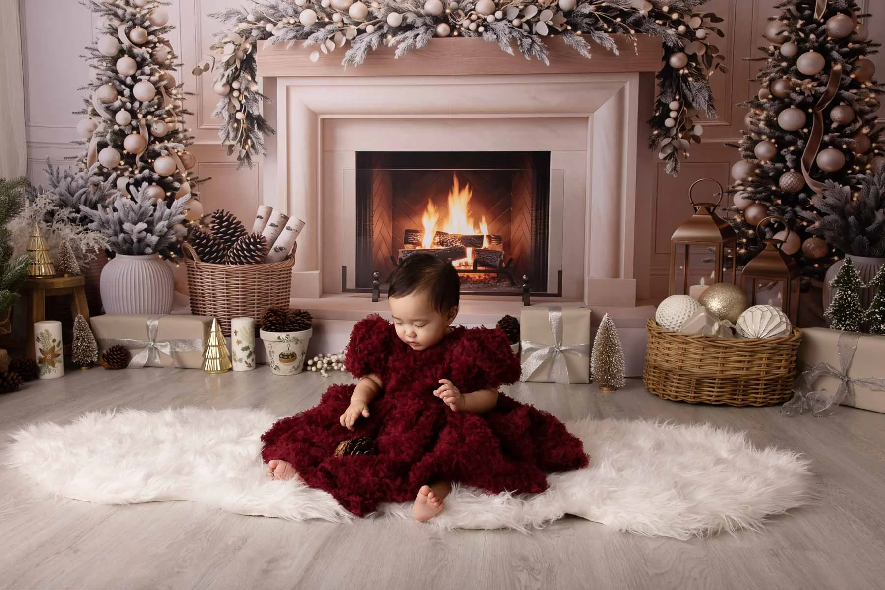Xmas mini sessions 2026 Sydney North Shore