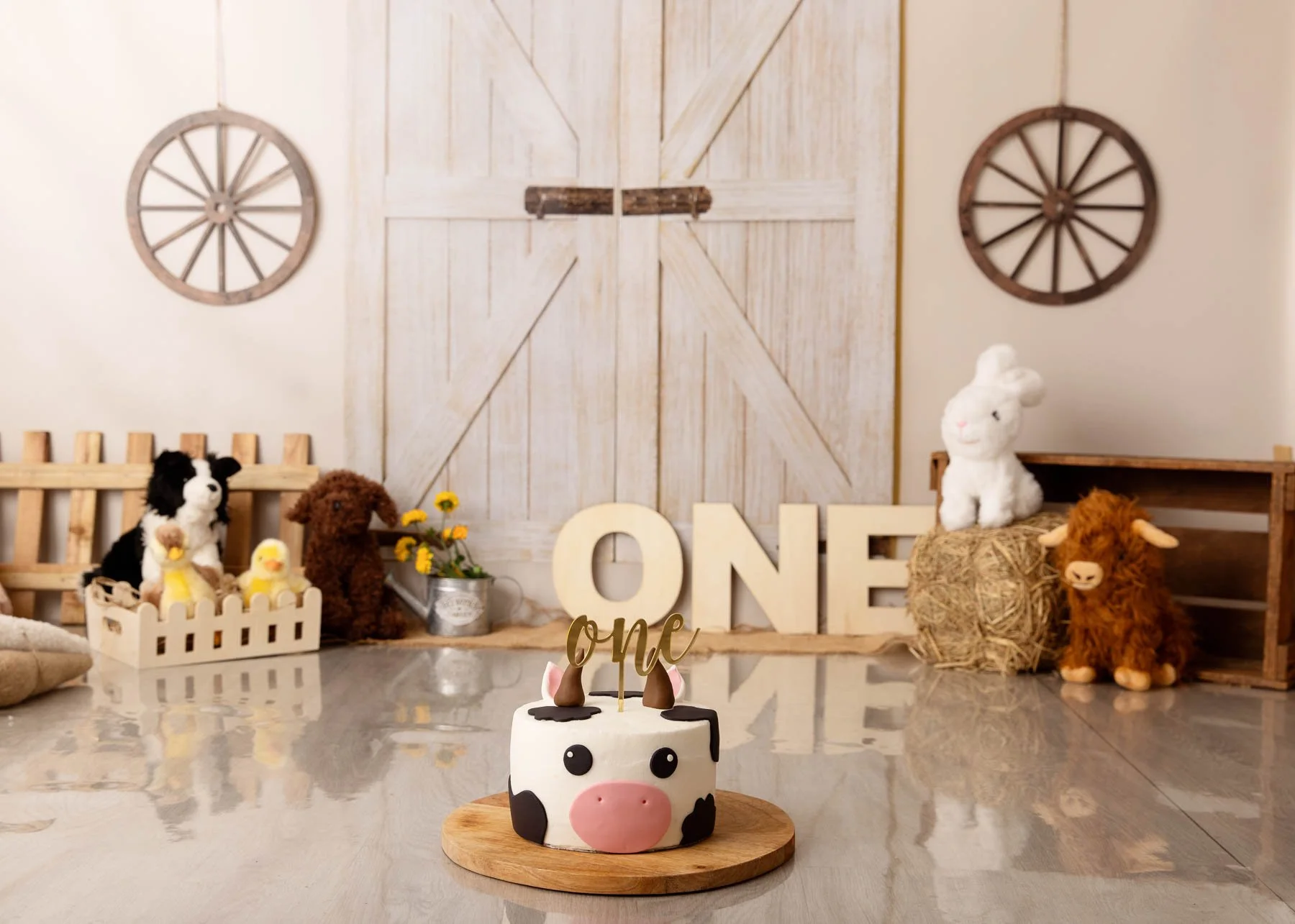 Noemie Vonthron Photography cake smash Sydney Farm theme, cow cake