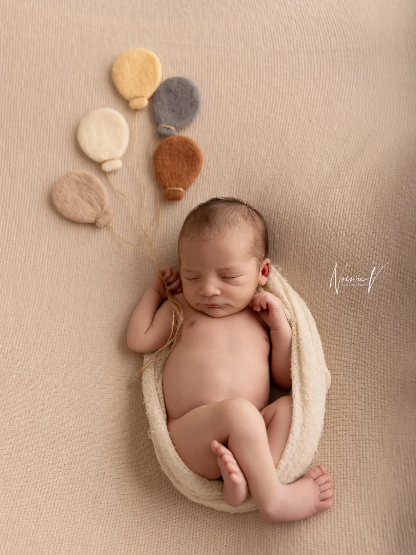 Dream big little one 🤎
I love this image so much!!!
.
#newbornphotographersydney #bestnewbornphotographersydney #sydneyphotographer #sydneymaternityphotography #northshorephotographer