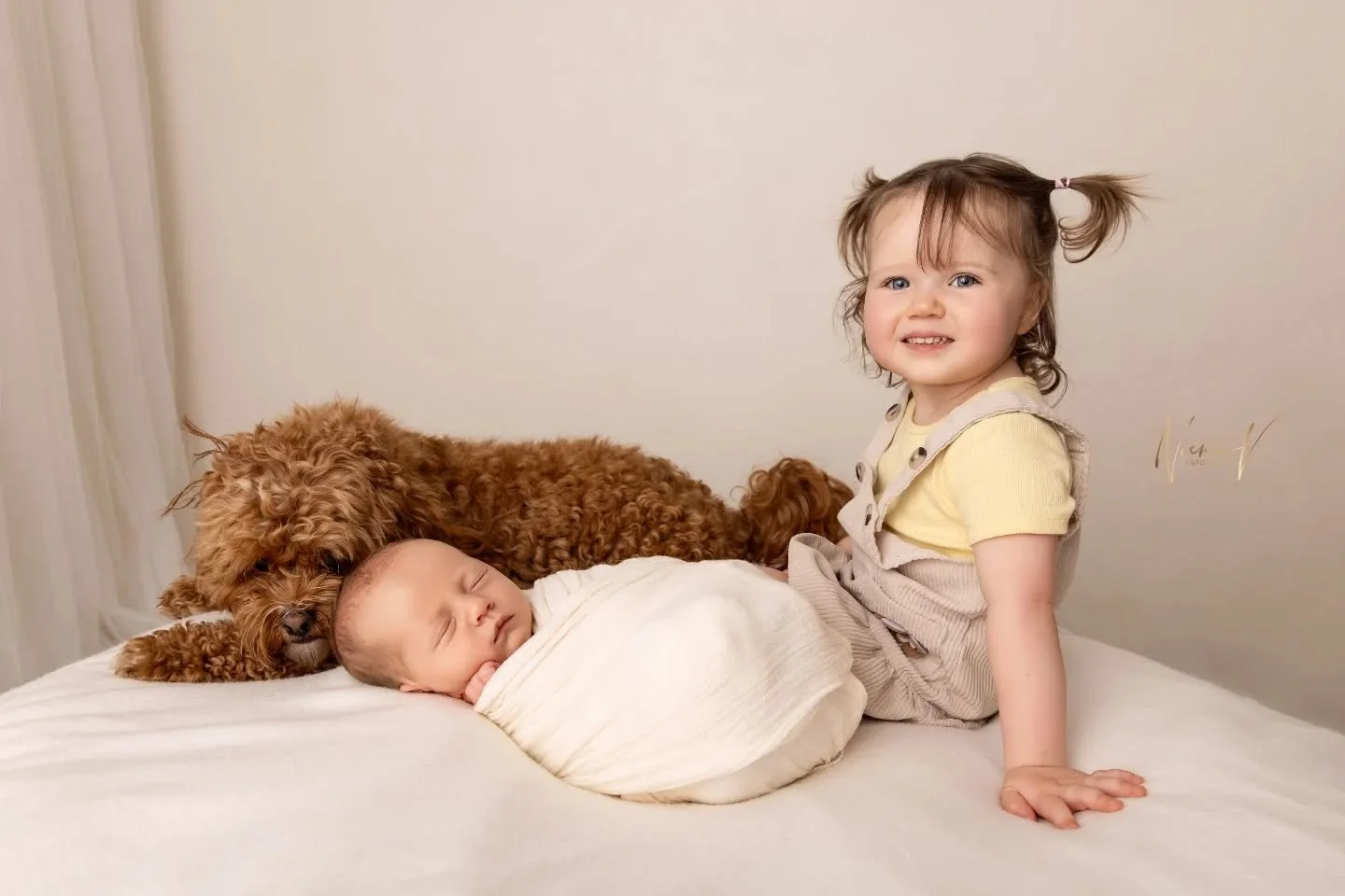 A very proud and happy big sister 💗
.
#sydneynewbornphotographer #sydneyfamilyphotographer #bestnewbornphotographersydney #sydneyphotographer #northshorephotographer
