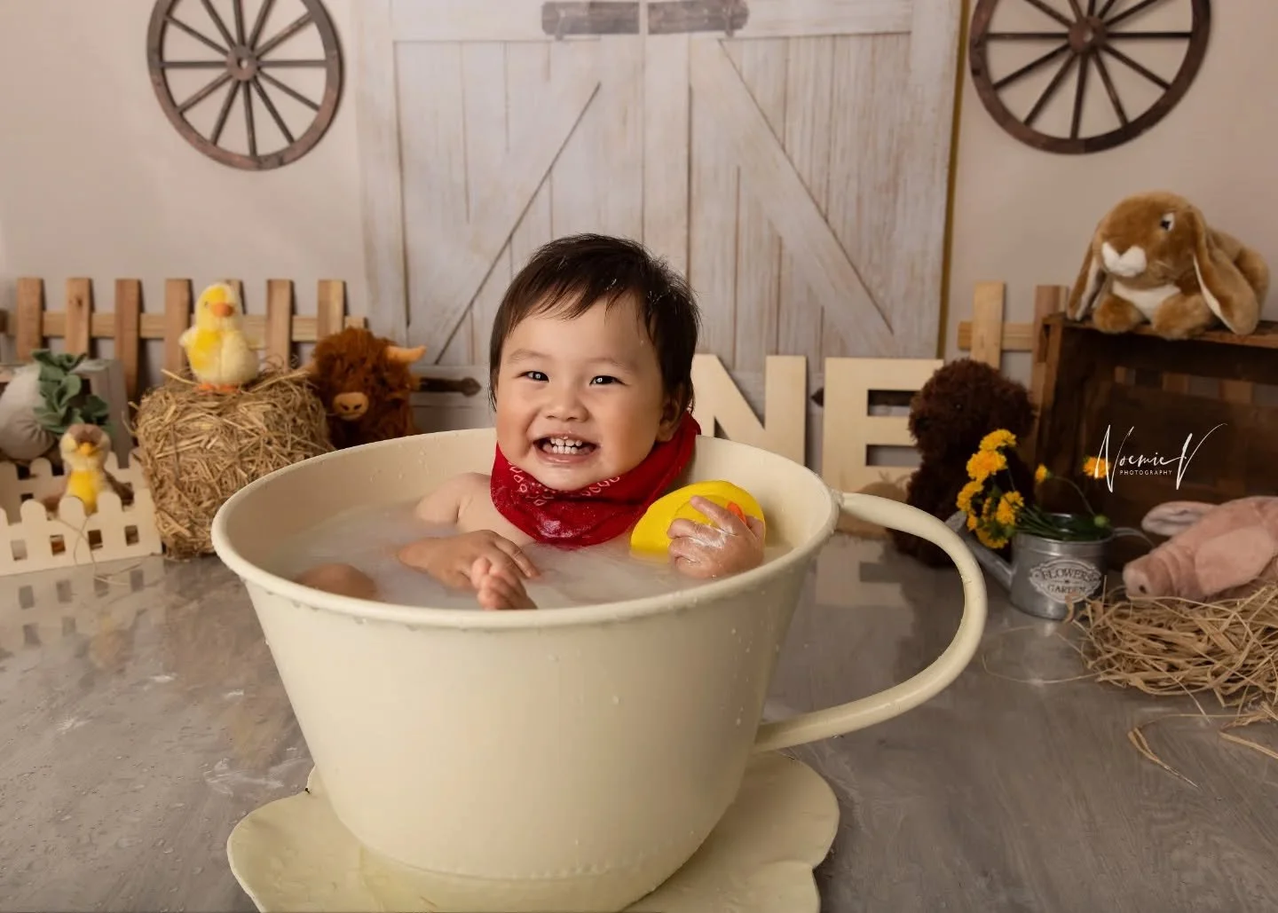 OVERLOAD CUTENESS with this boy, my farm theme and my new teacup bathtub 🫖
I just can't, too cute!!
Happy birthday little Jasper!!