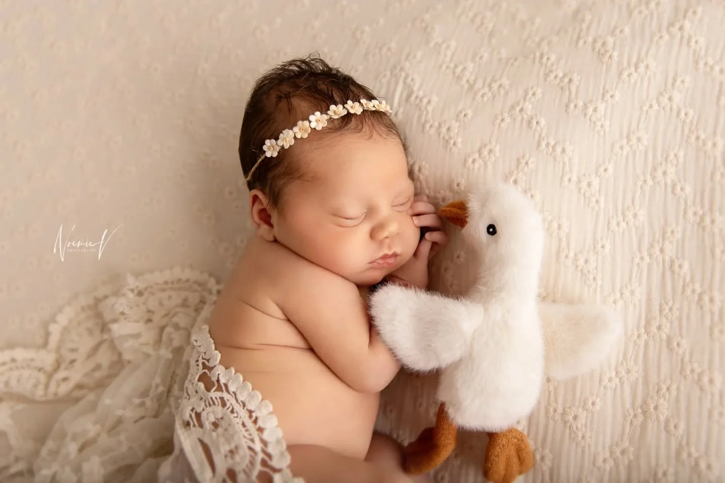 I might have the best job in the world... 
Capturing pure love and cuteness. Creating memories. That will be cherished forever.
And I'm forever grateful for my clients' trust. ❤️
Little Tahlia and my new goose 🪿