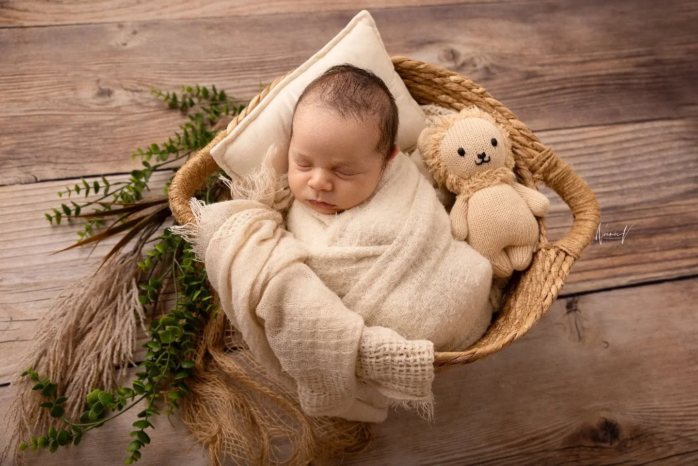 Love love love 🦁
.
#bestnewbornphotographersydney #newbornphotographersydney #sydneybabyphotographer #sydneymaternityphotographer