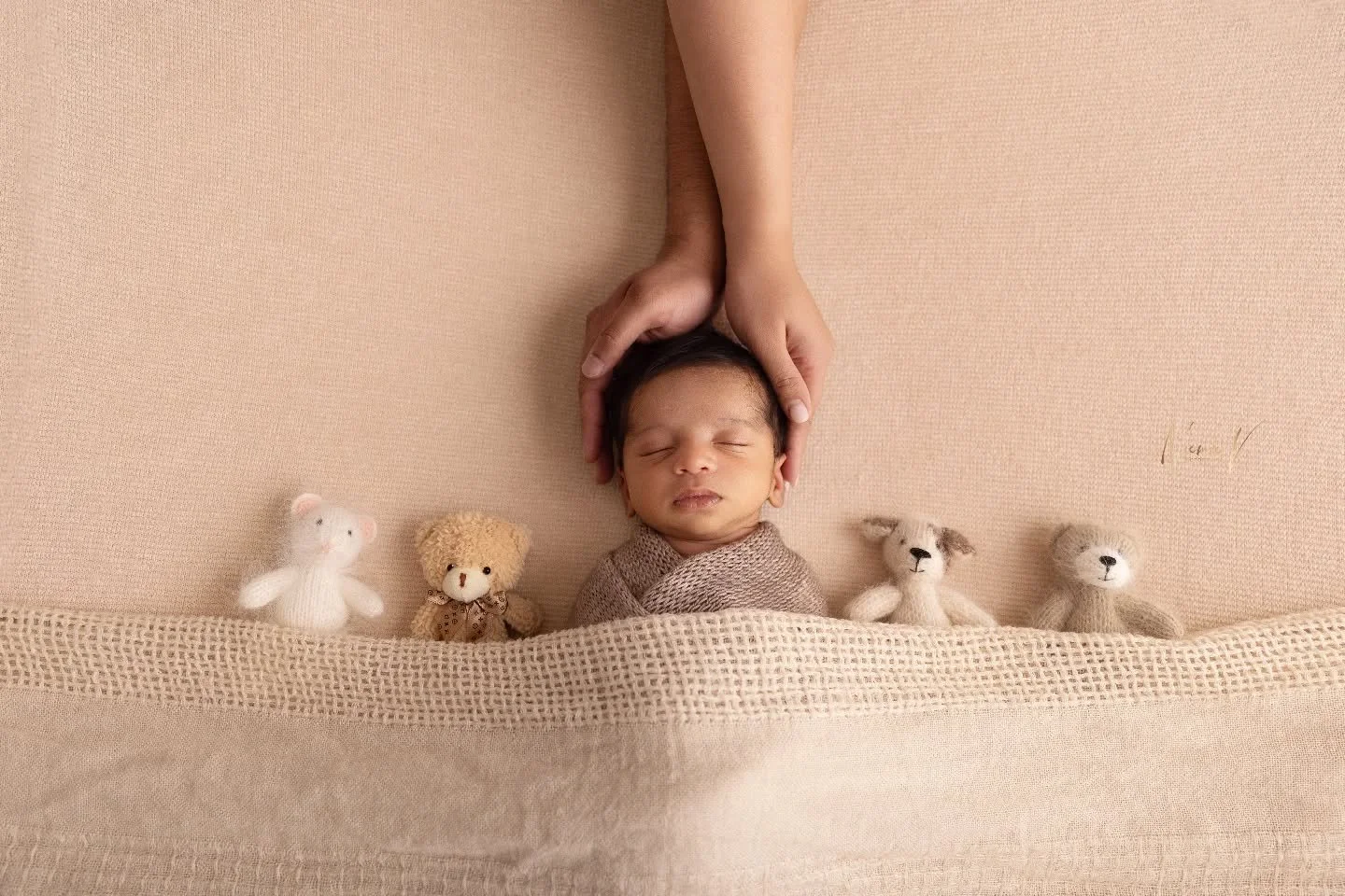 I hope everyone had a great weekend 🤎
.
#bestnewbornphotographersydney #newbornphotographysydney #sydneybabyphotographer #sydneymaternityphotographer #noemievonthronphotography