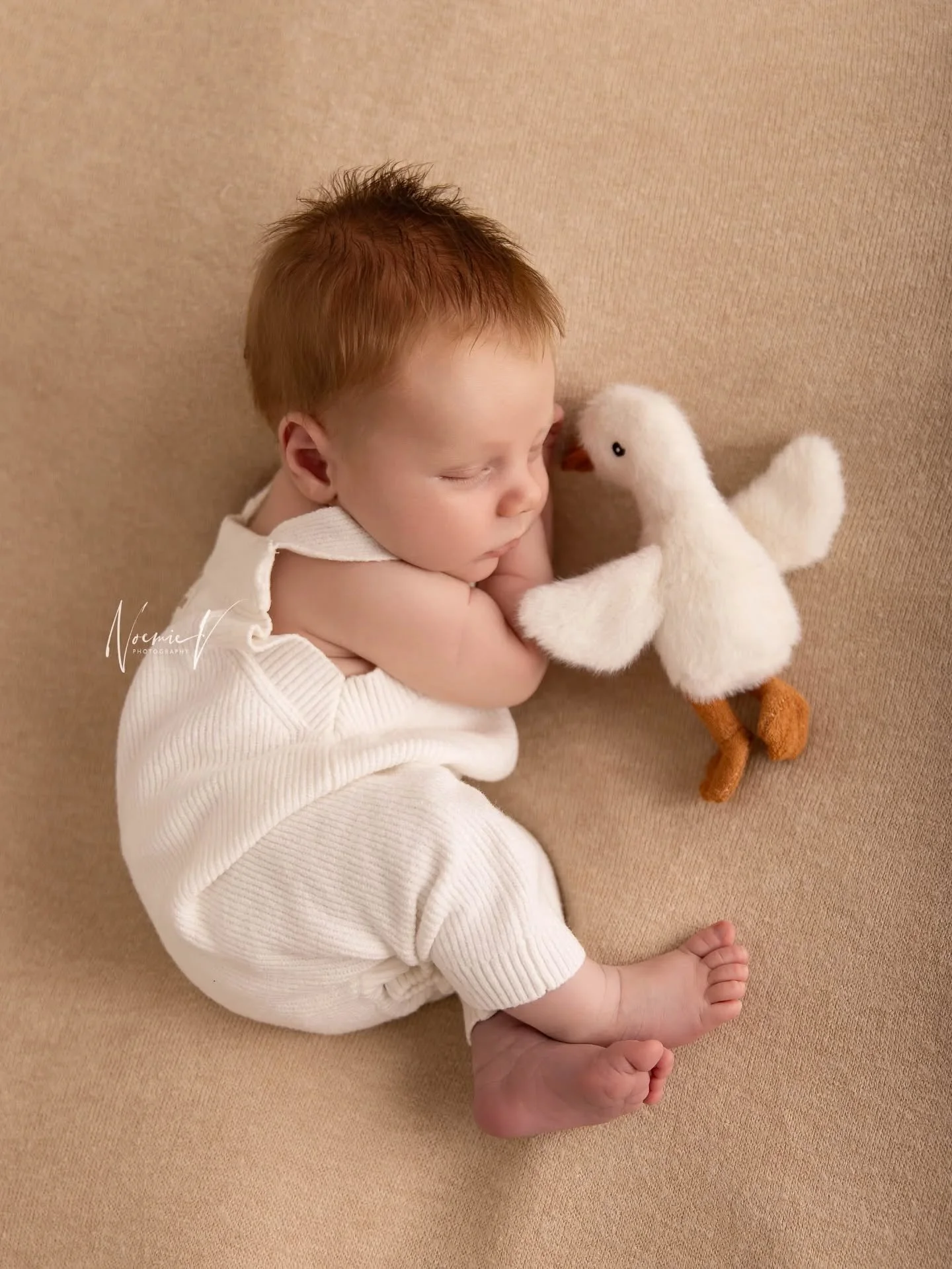 His hair 🥹
I'm obsessed with this photo!
and this little goose is getting some love every session atm!! I understand why!
Simplicity session.