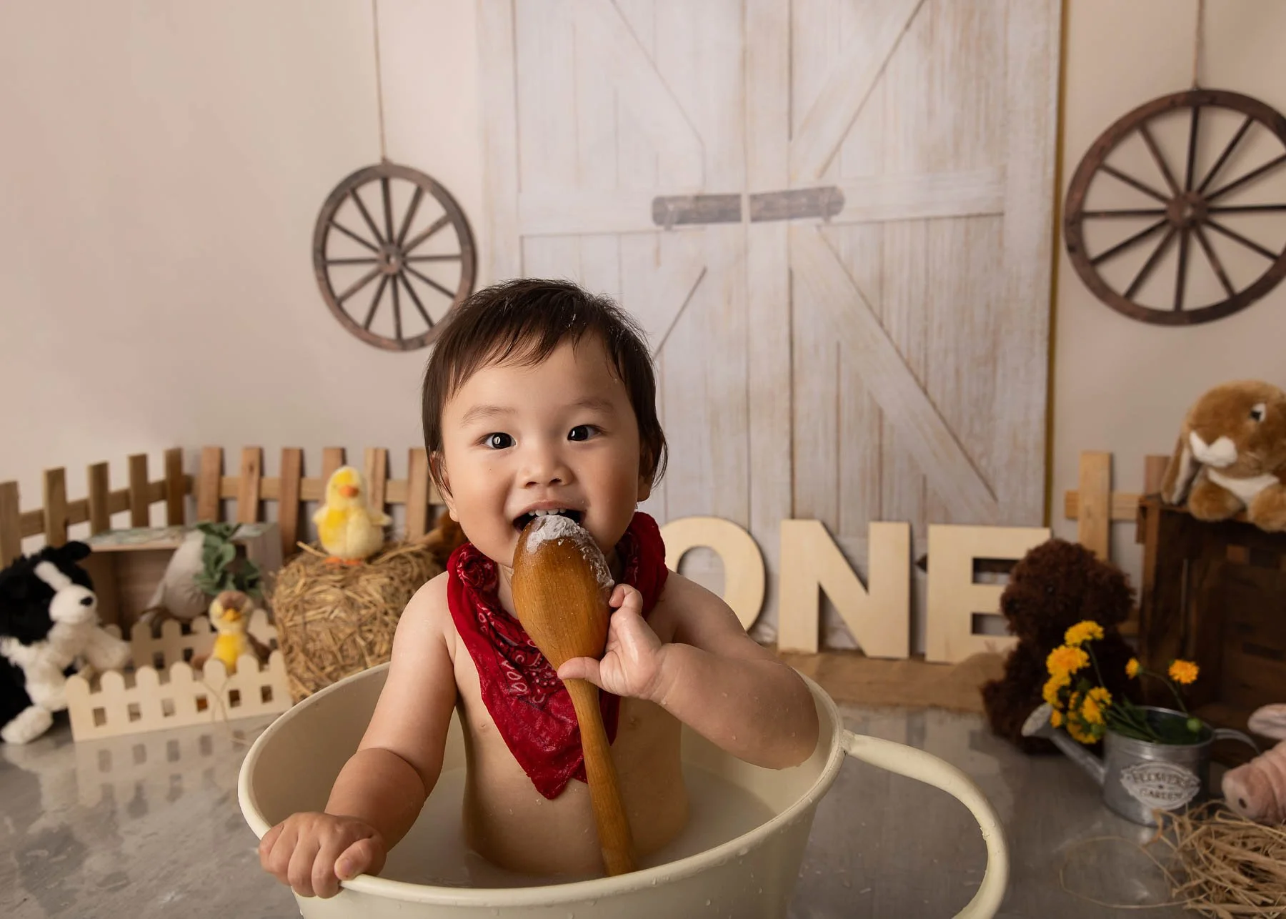 Cake smash photographer Sydney North Shore Farm theme baby bathing in a teacup