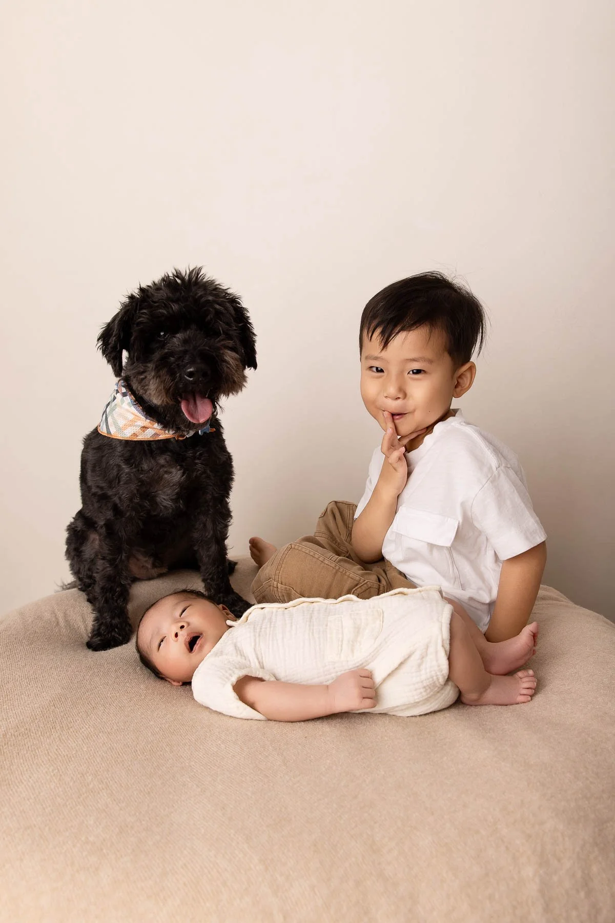 Noemie Vonthron Photography Newborn North Shore Photographer siblings and a pet