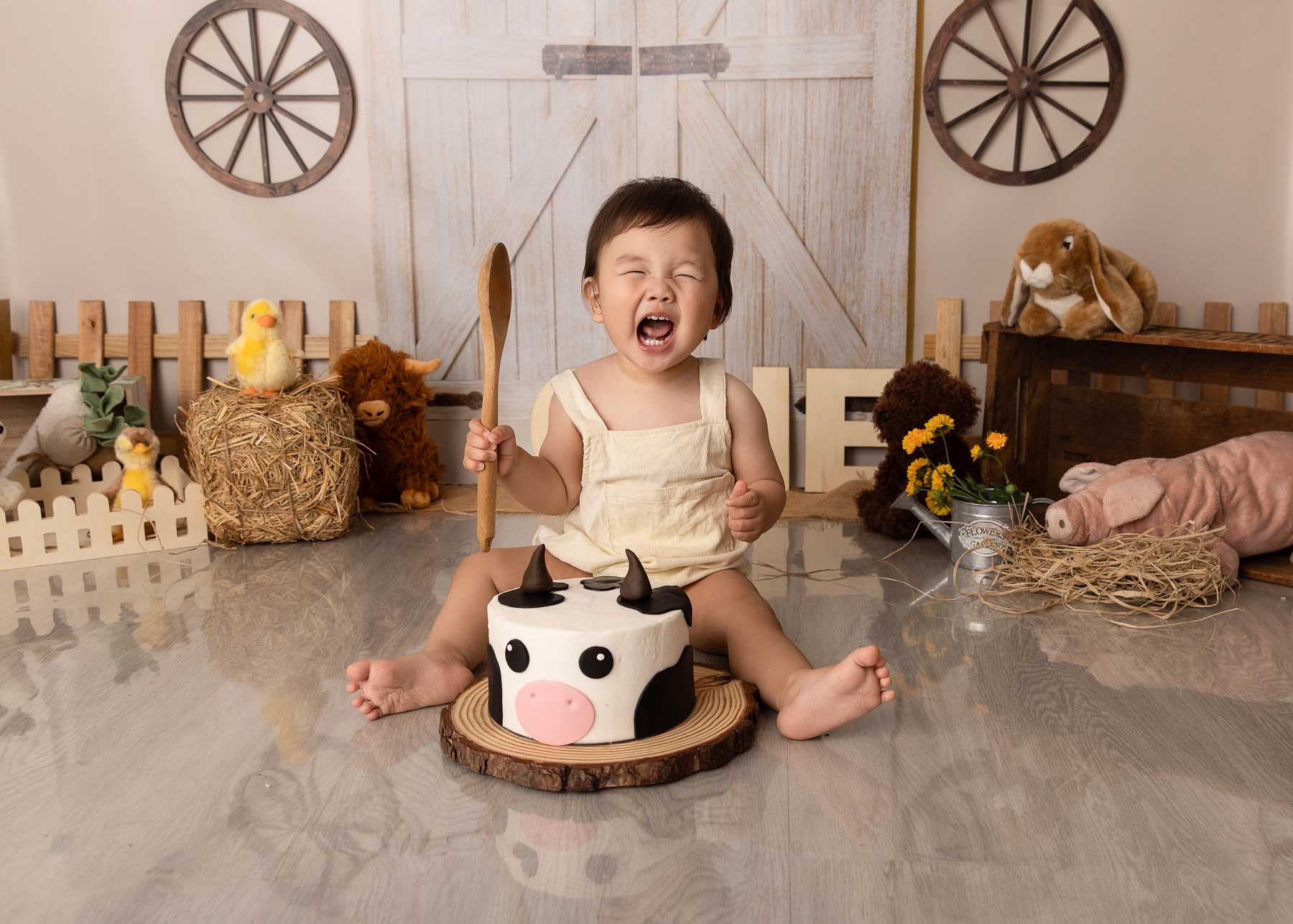 Cake smash photographer Syndey farm theme