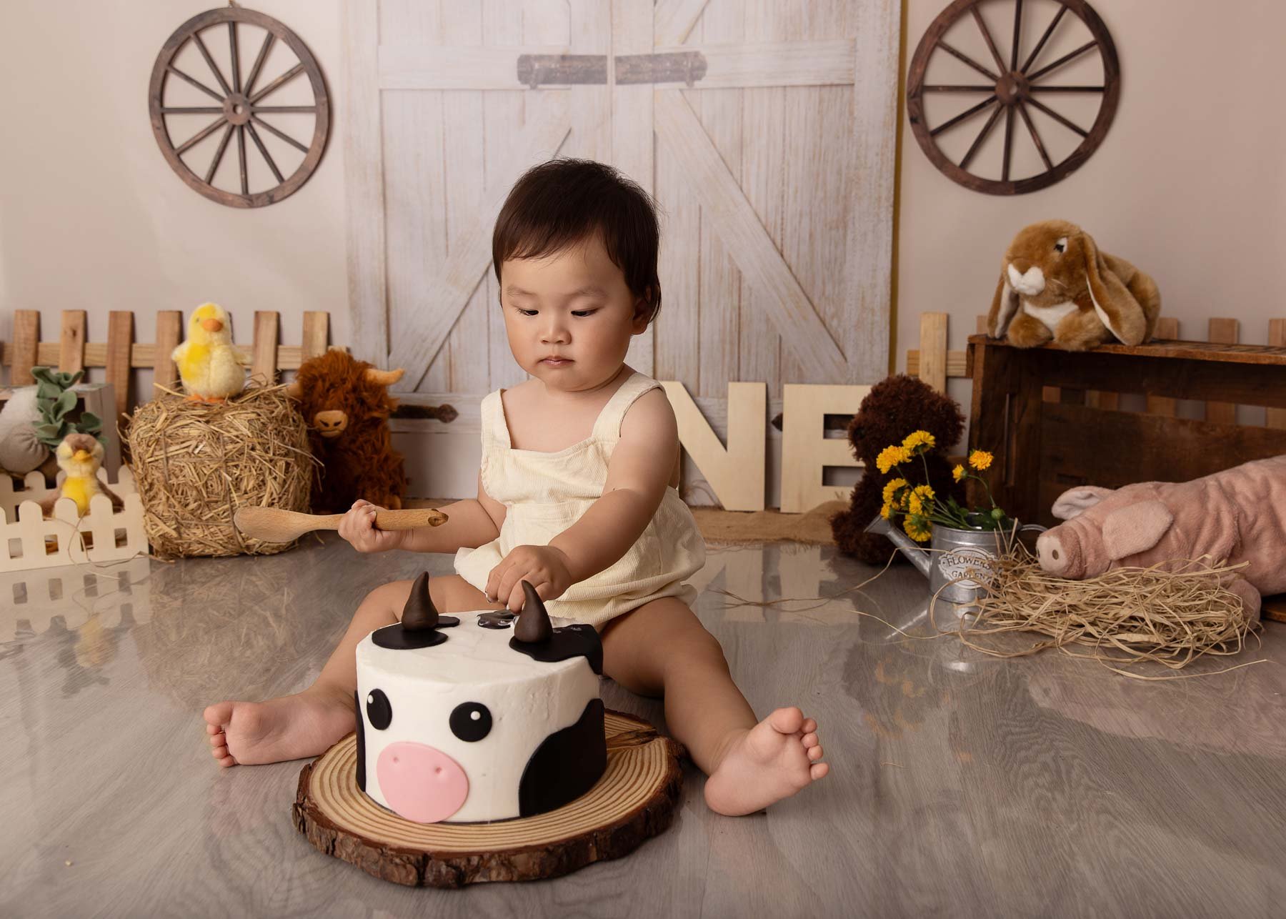 Cake smash photographer Sydney North Shore Farm theme baby and a cow cake