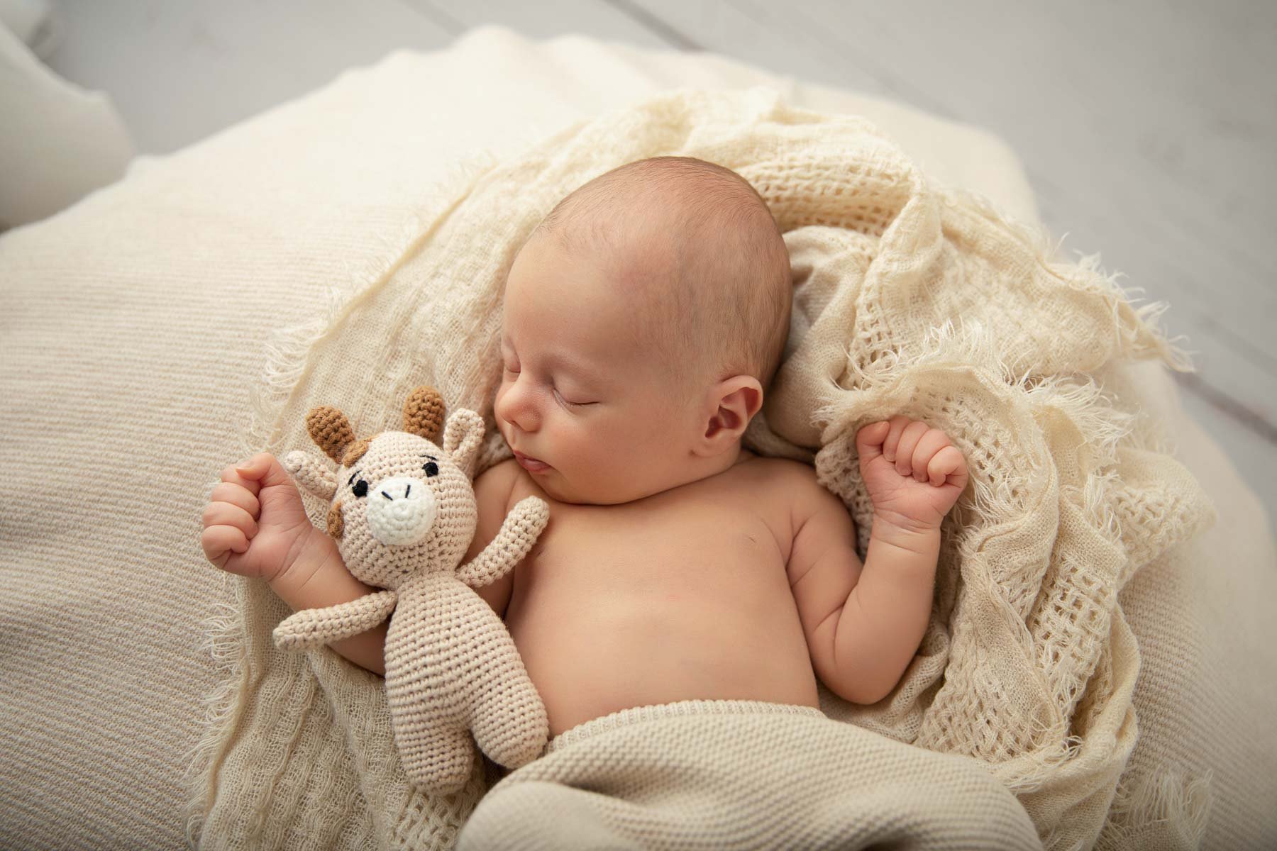 Noemie Vonthron Photography Newborn North Shore Photographer relaxed posed session baby with a baby giraffe prop