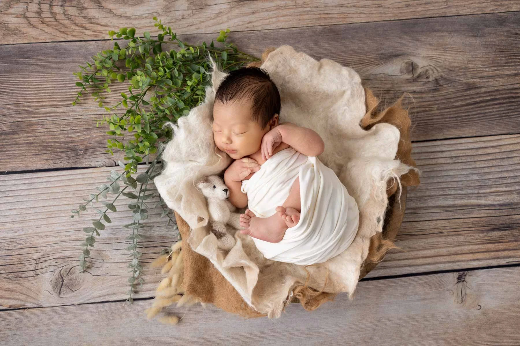 Newborn photographer Sydney Northern Districts, newborn baby basket