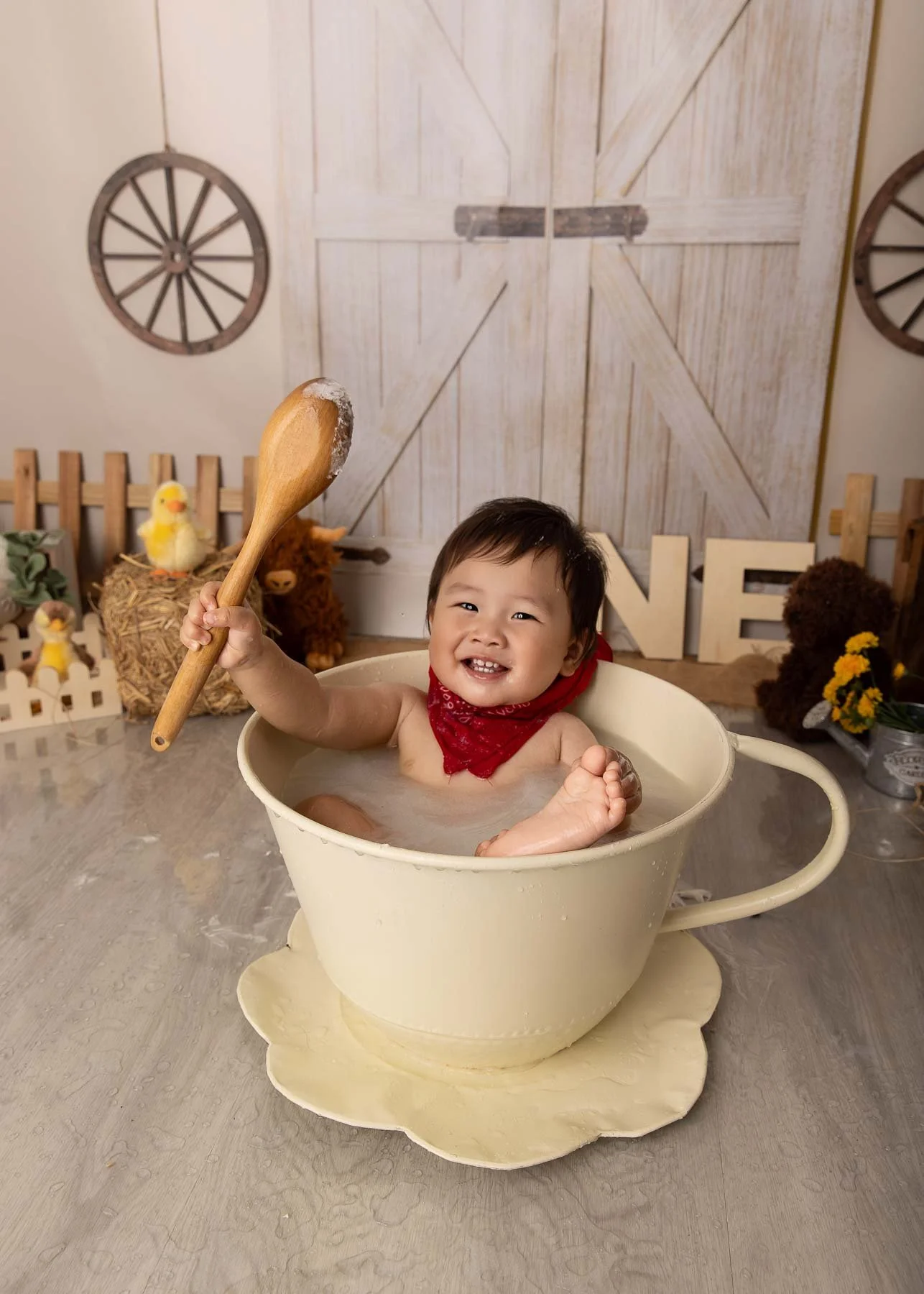 Cake smash photographer Sydney North Shore Farm theme baby bathing in a teacup