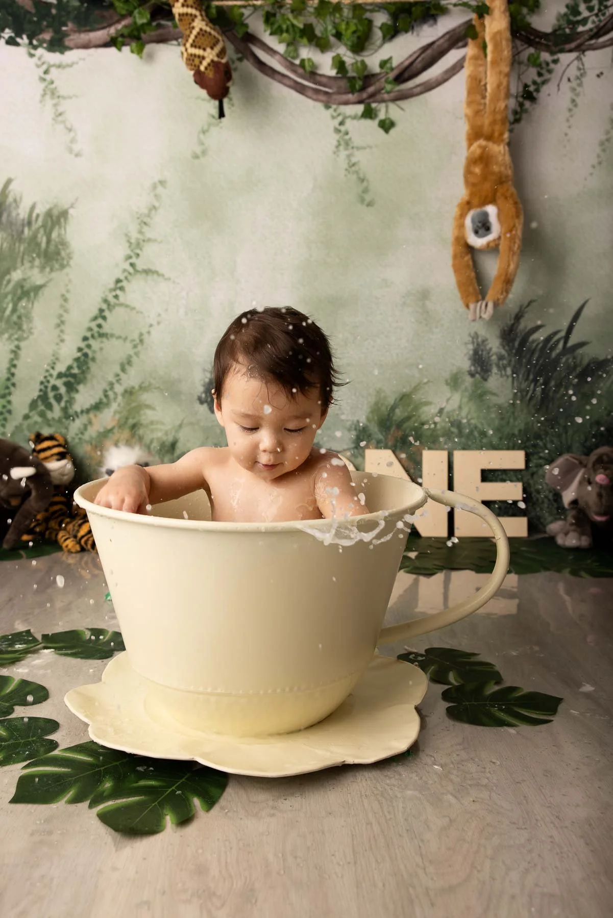 Cake smash photographer Sydney North Shore
Jungle theme