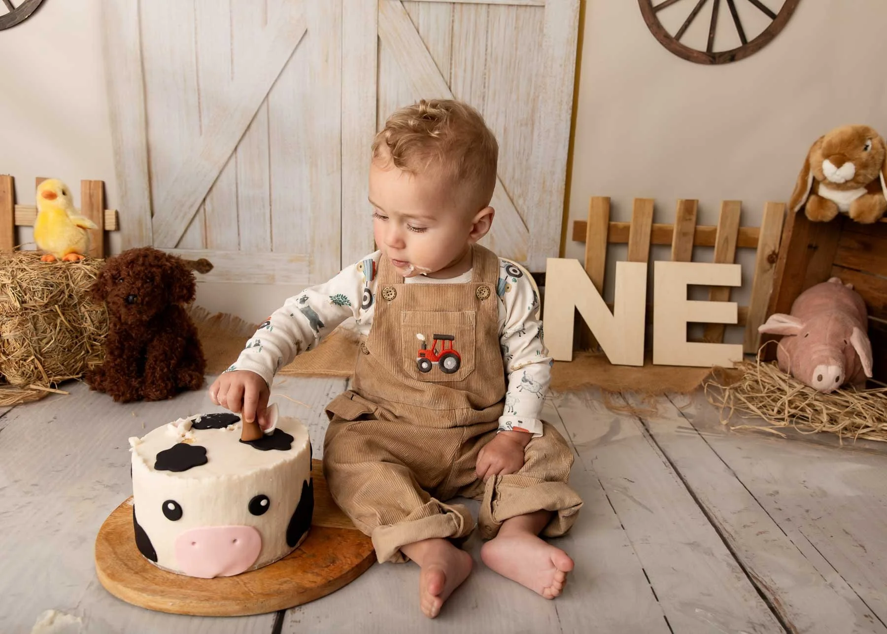 Cake smash photographer Sydney North Shore Farm theme