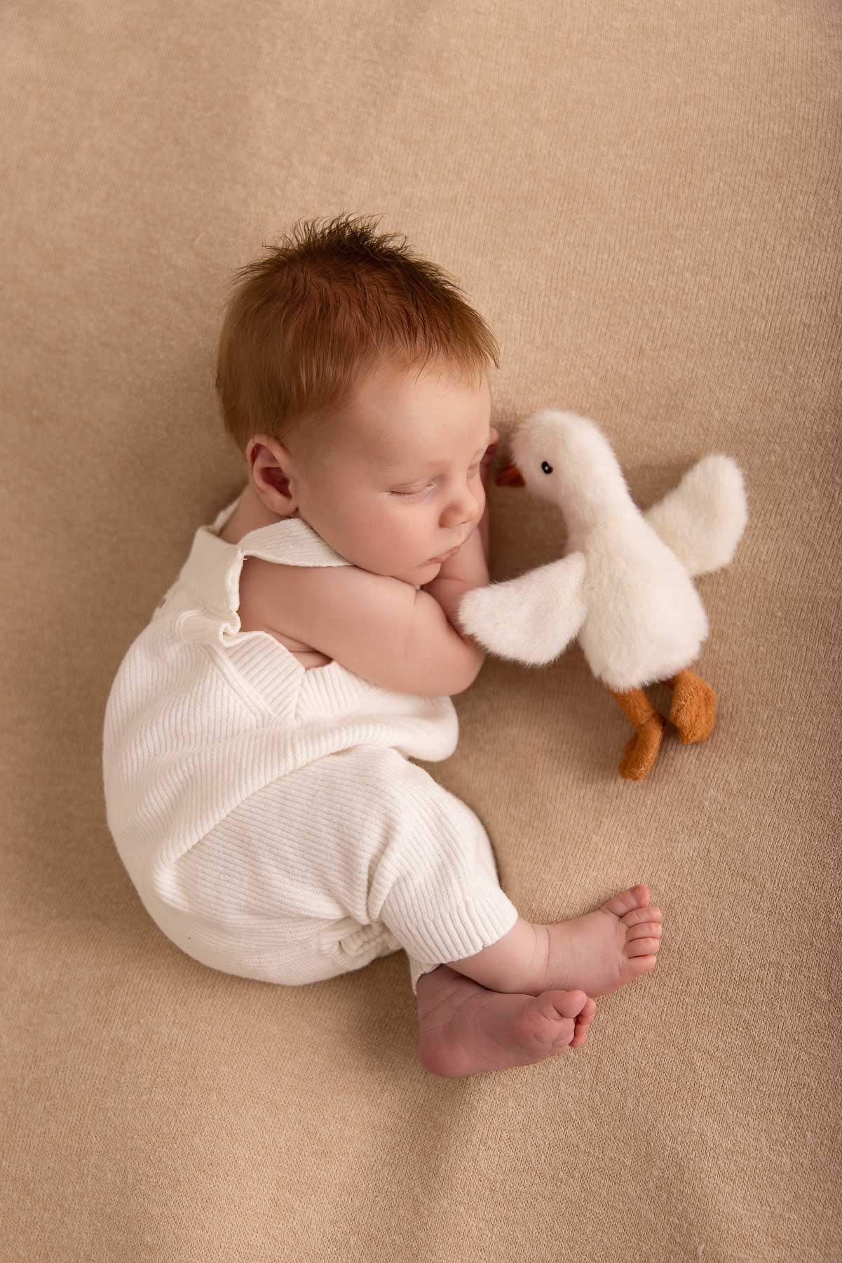 Noemie Vonthron Photography Newborn North Shore Photographer relaxed posed session baby boy wearing a white romper with a aby goose plush next to him