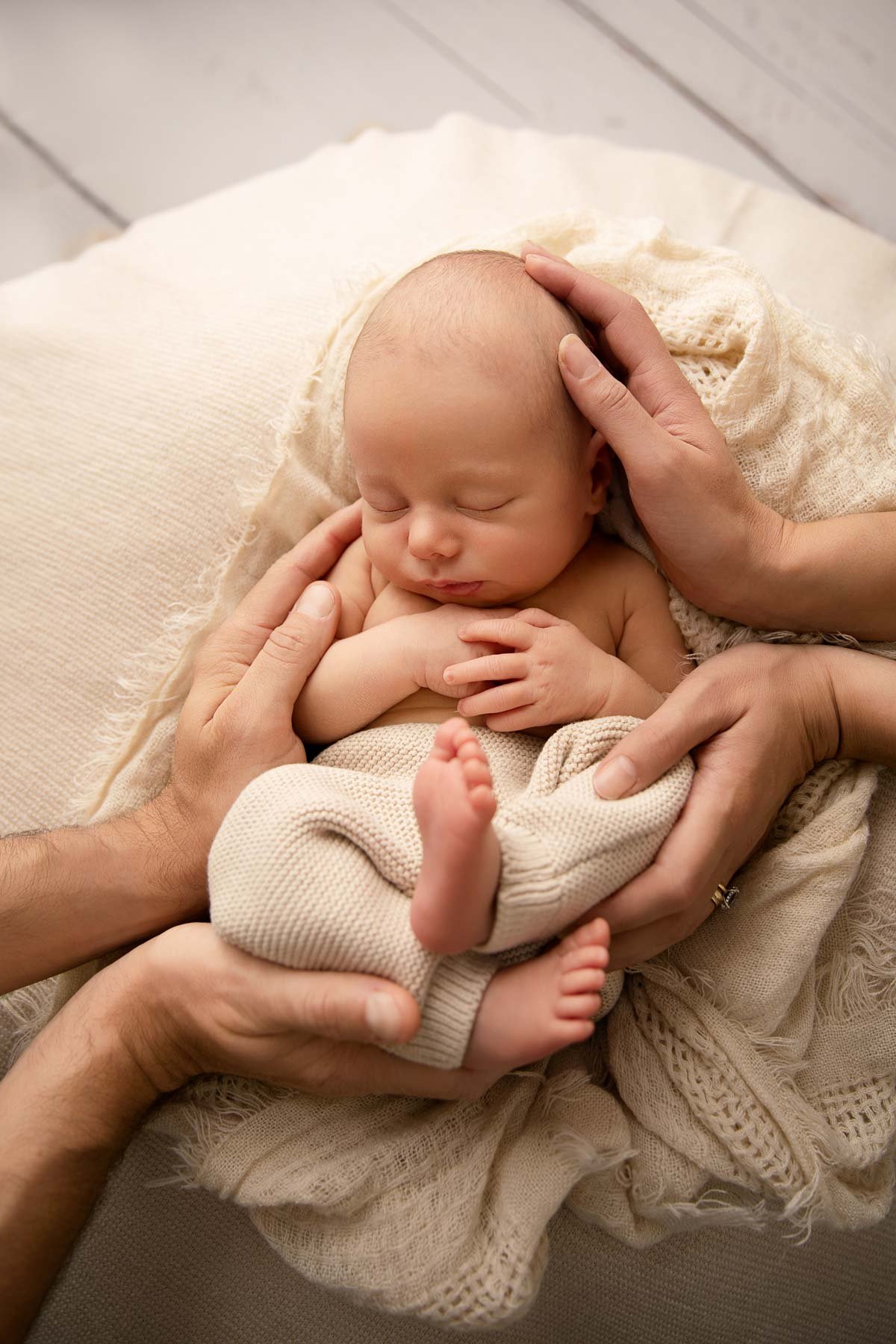 Noemie Vonthron Photography Newborn North Shore Photographer relaxed posed session baby in parents' hands
