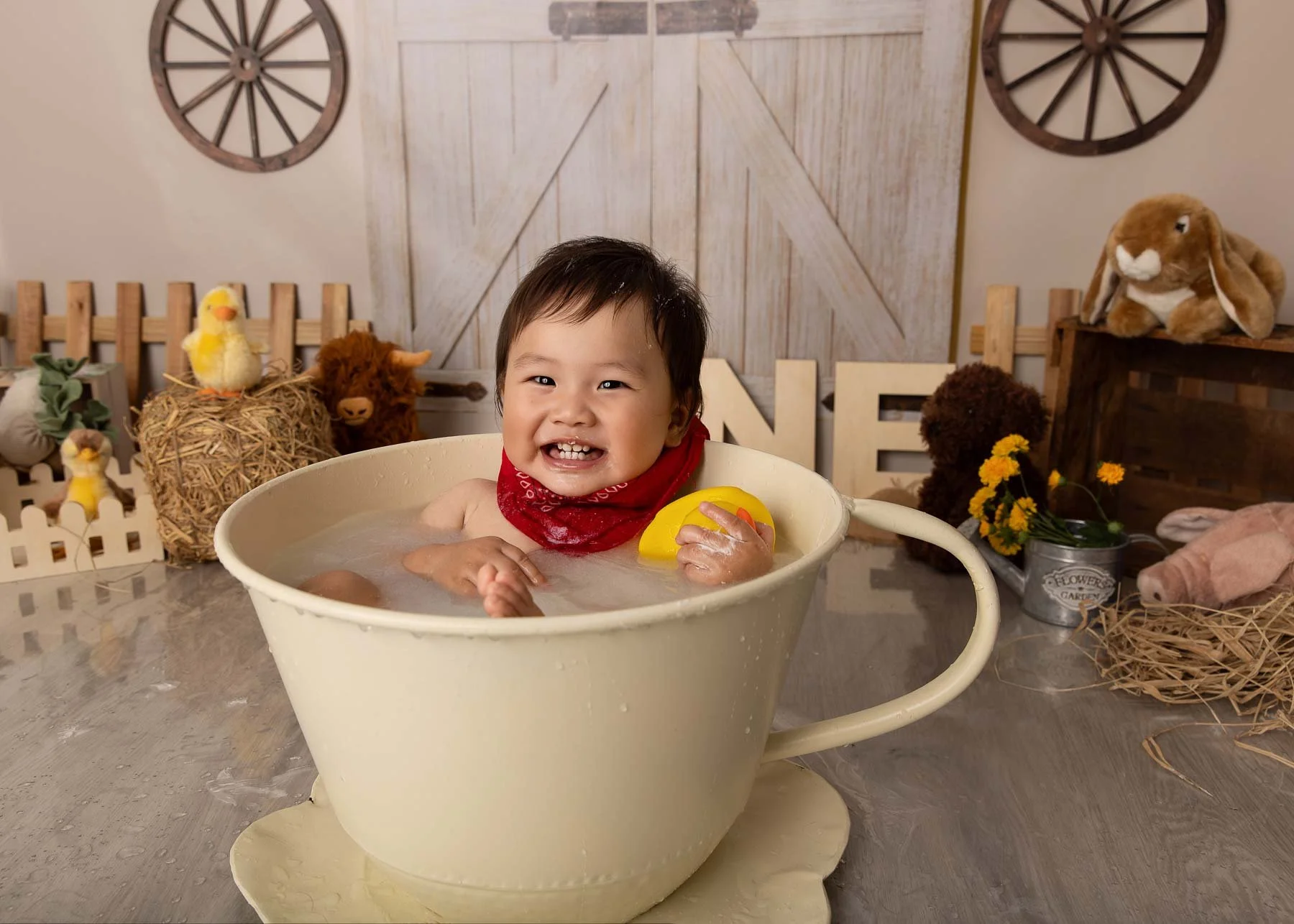 Cake smash photographer Sydney North Shore Farm theme baby bathing in a teacup