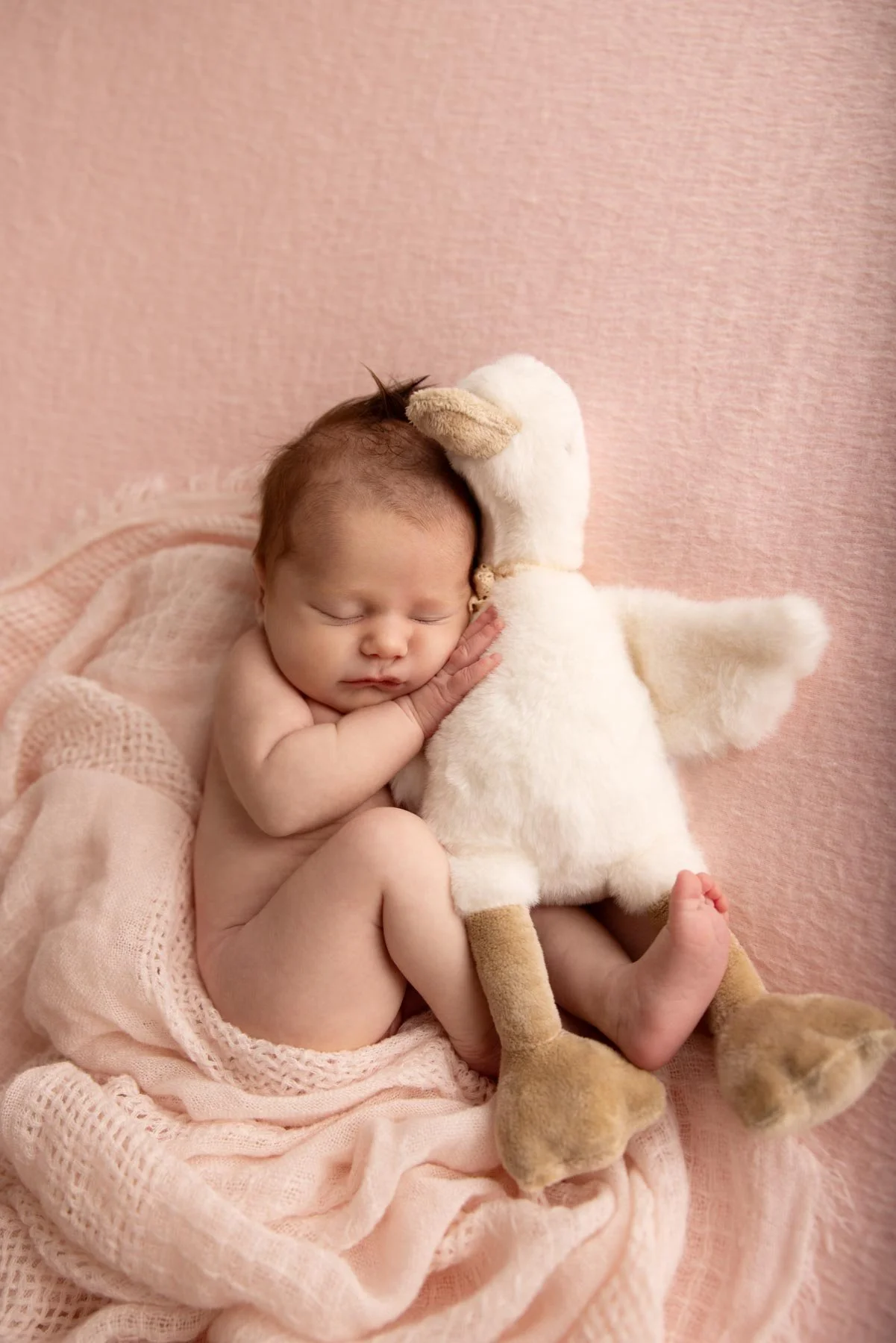 baby girl sleeping with a goose soft toy