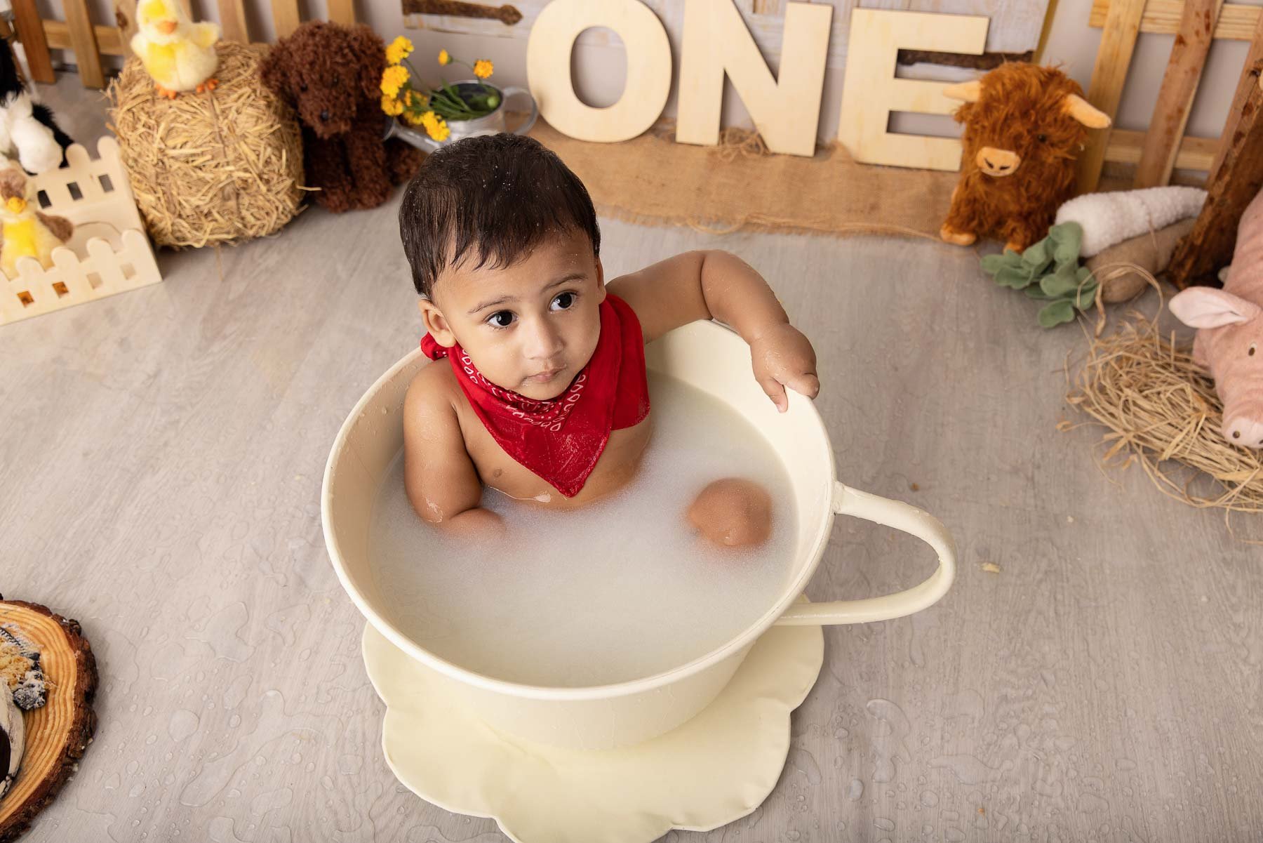 Cake smash photographer Sydney North Shore Farm theme baby bathing in a teacup