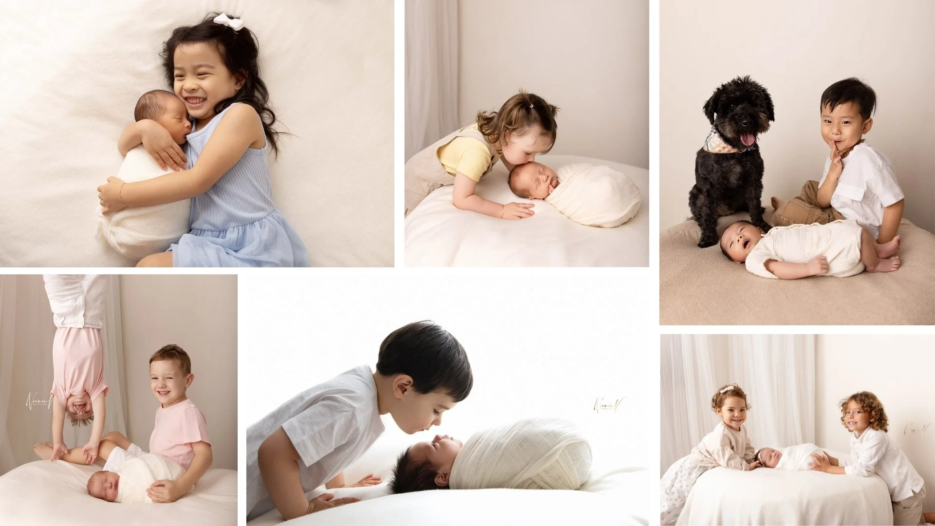 Siblings photos newborn and family photoshoot