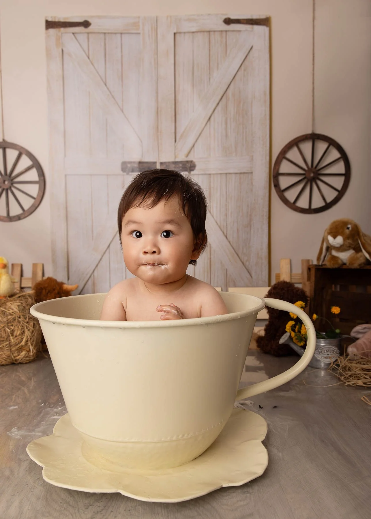 Cake smash photographer Sydney North Shore Farm theme baby bathing in a teacup
