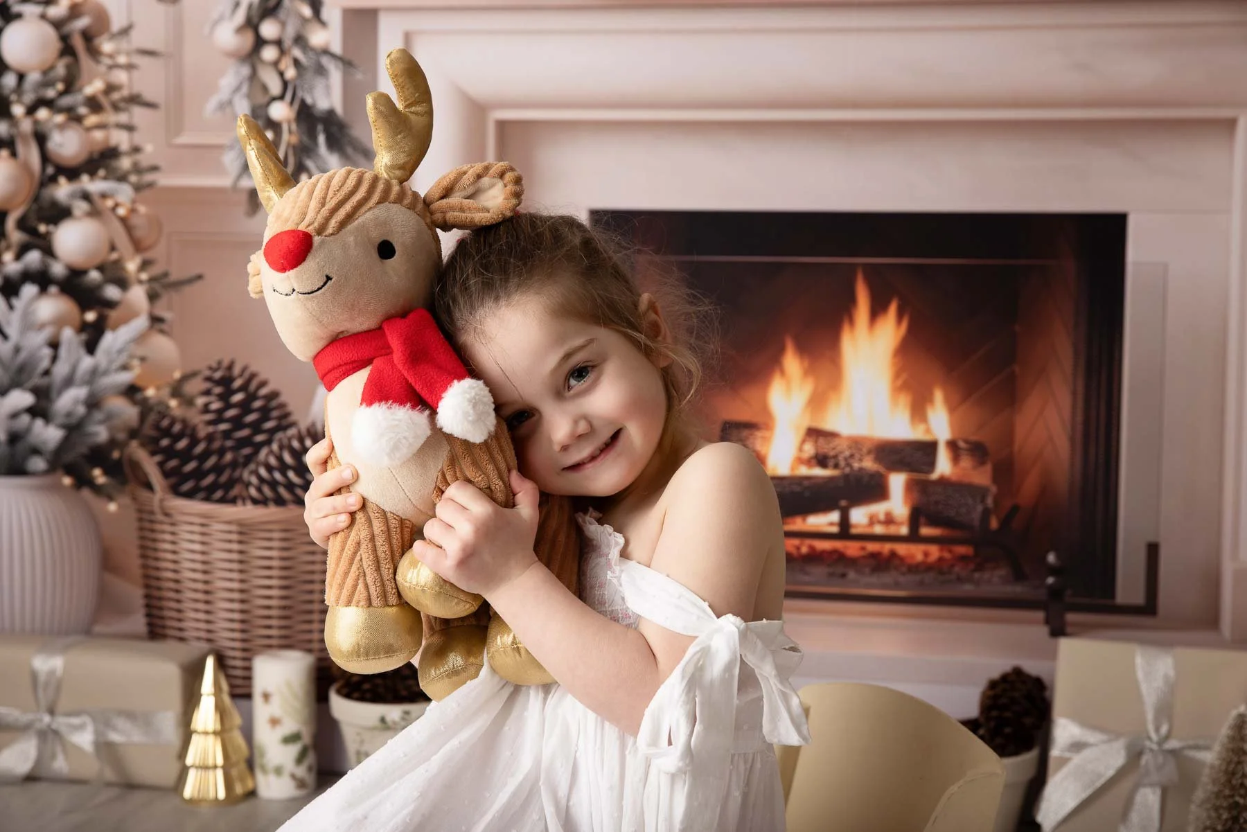 Xmas mini sessions 2026 Sydney North Shore