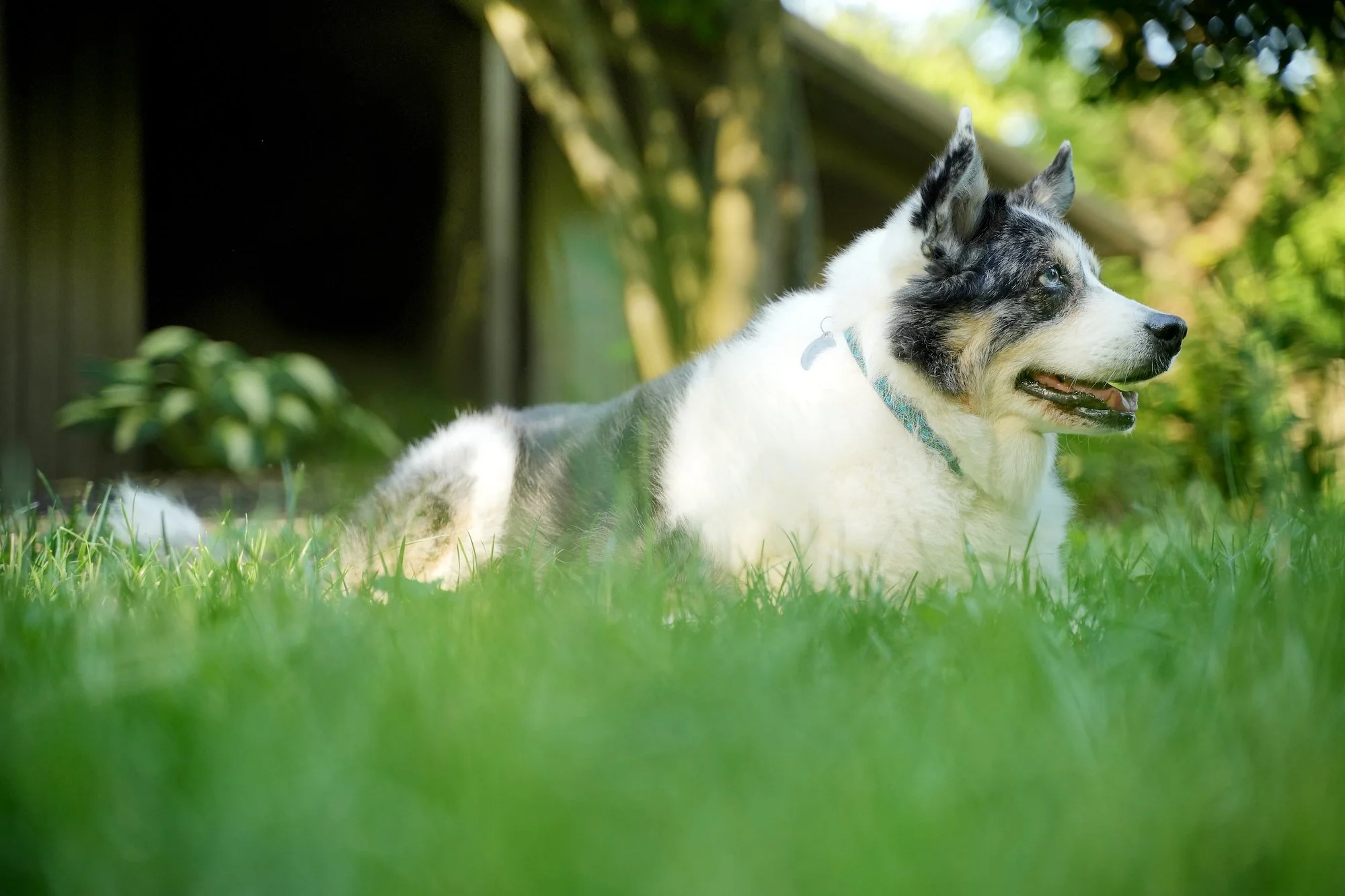 jake jones DSC00660.jpg