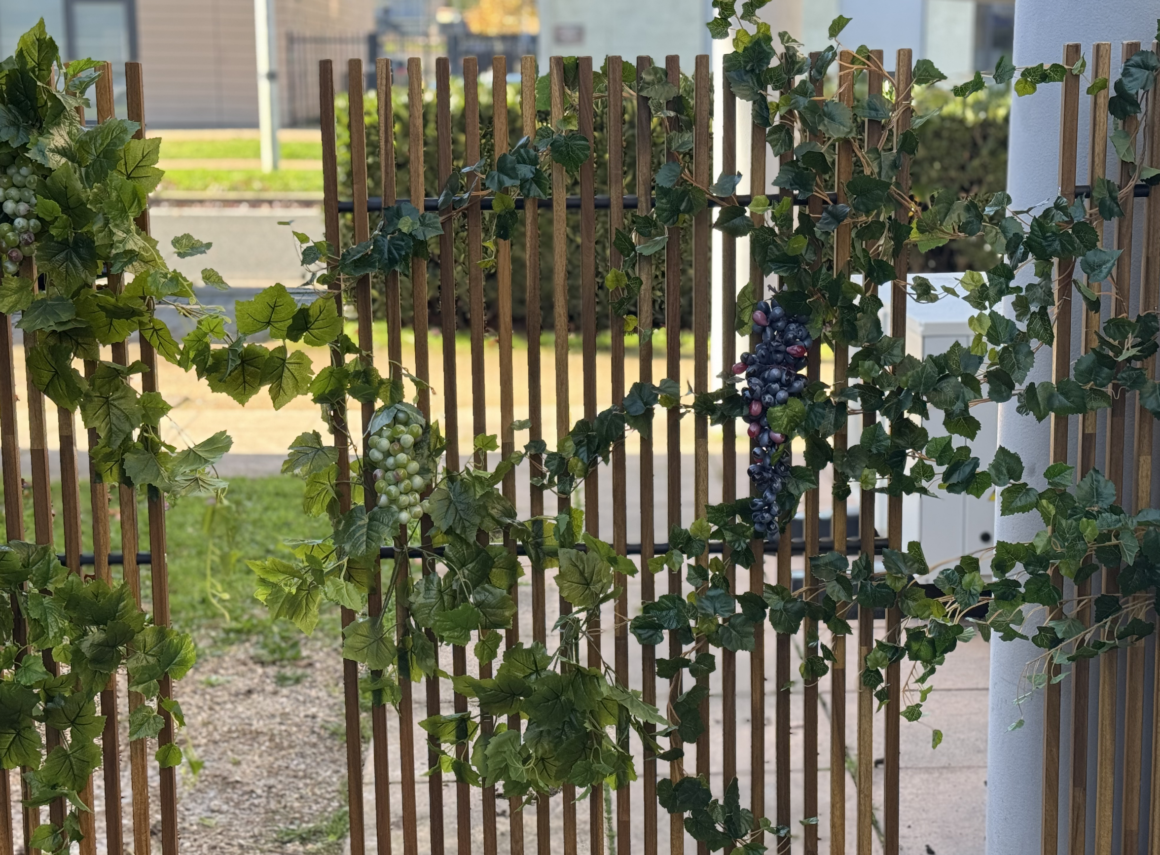 Capture d’écran 2026-01-25 à 22.20.01.png