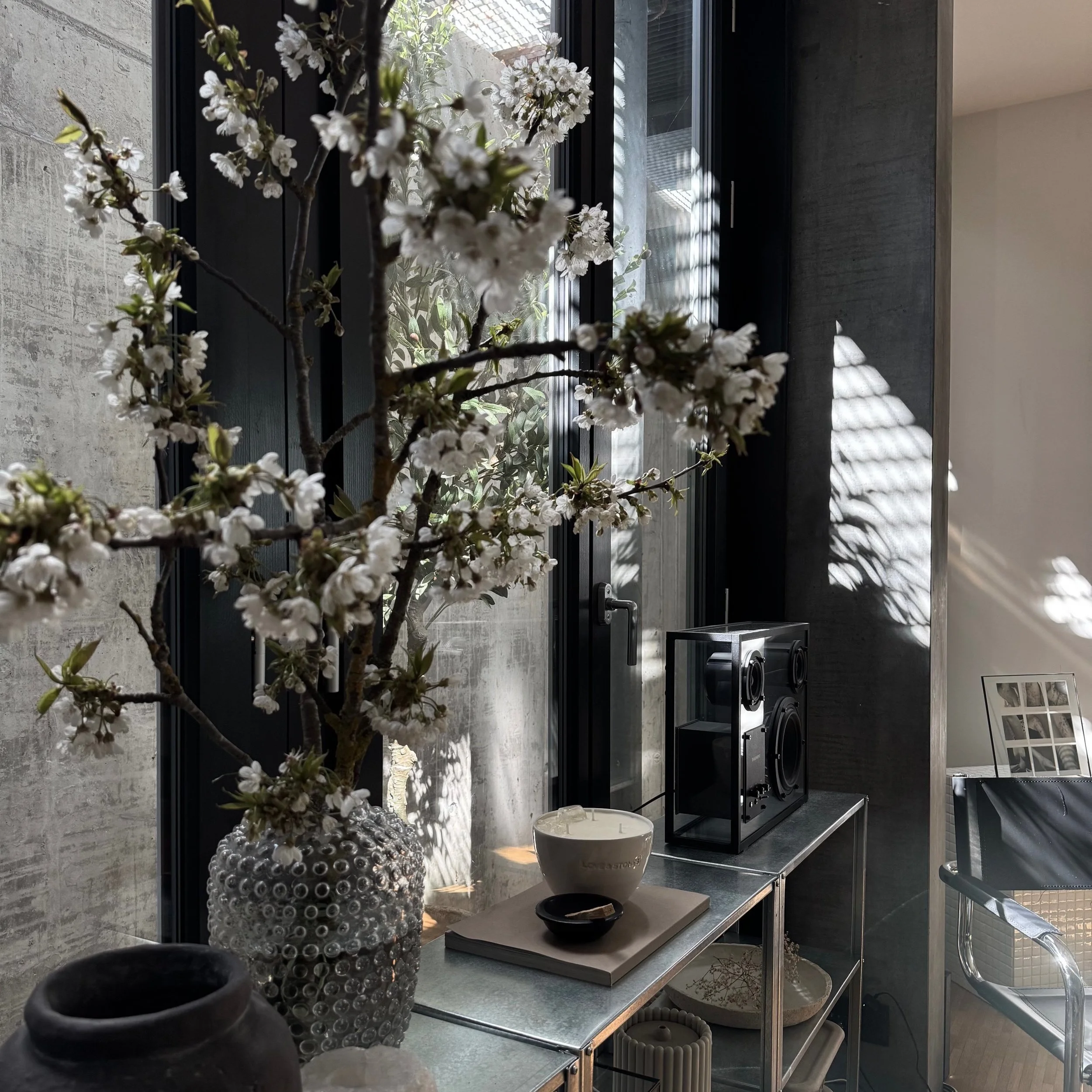 Ein modernes Wohnzimmer mit einem dekorativen Ast mit weißen Blüten in einer Vase auf einem metallischen Regal. Auf dem Regal steht auch ein Lautsprecher und ein paar dekorative Gegenstände. Sonnenlicht strömt durch ein großes Fenster, das Schatten a