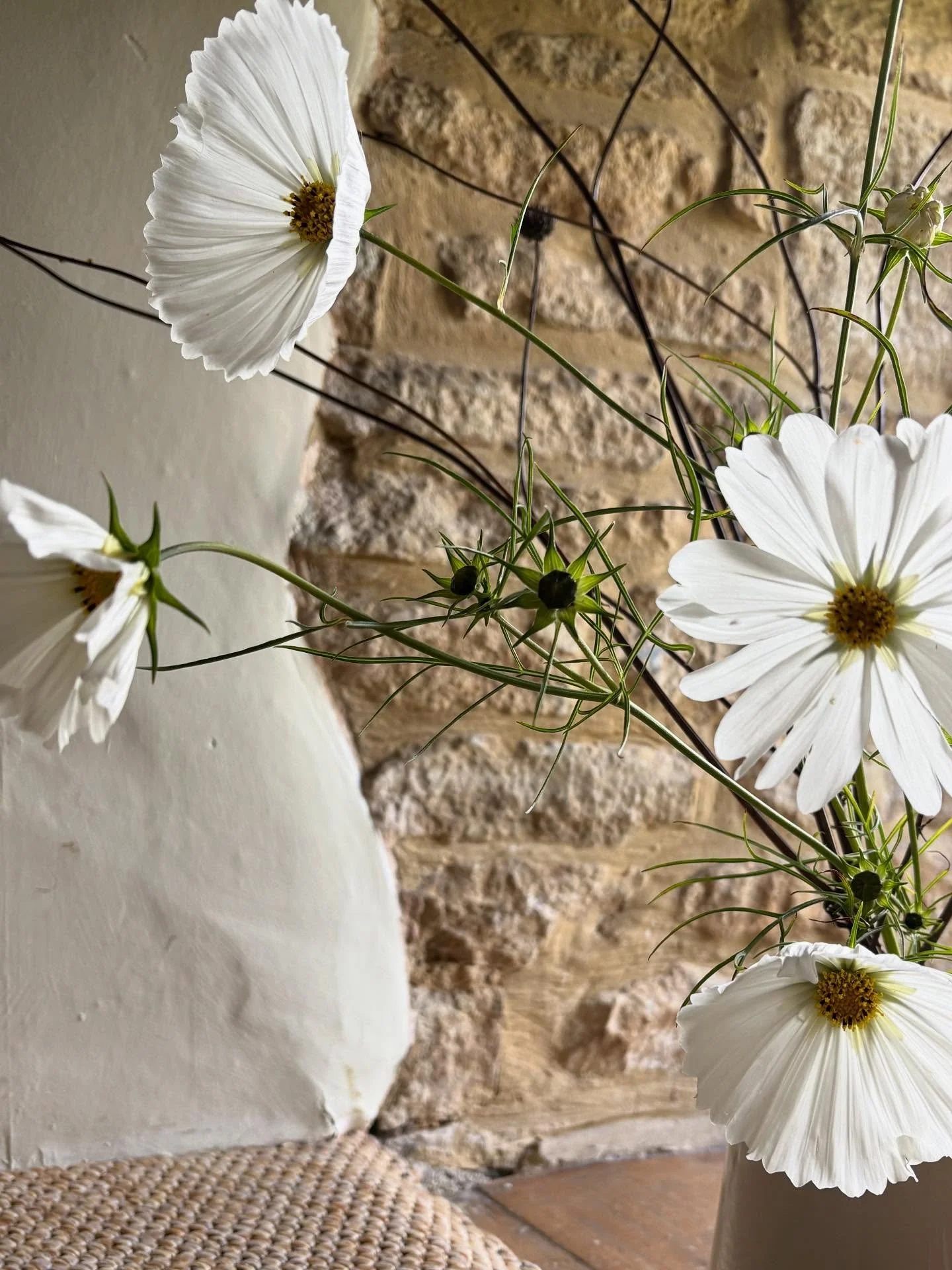Luminous cosmos with autumn light, my favourite shelf and a little cubby hole on the stairs, seems like two seconds ago iris would sit in there on her feet. Two days of ikebana for lucky me this week, this was my second arrangement with white cosmos 