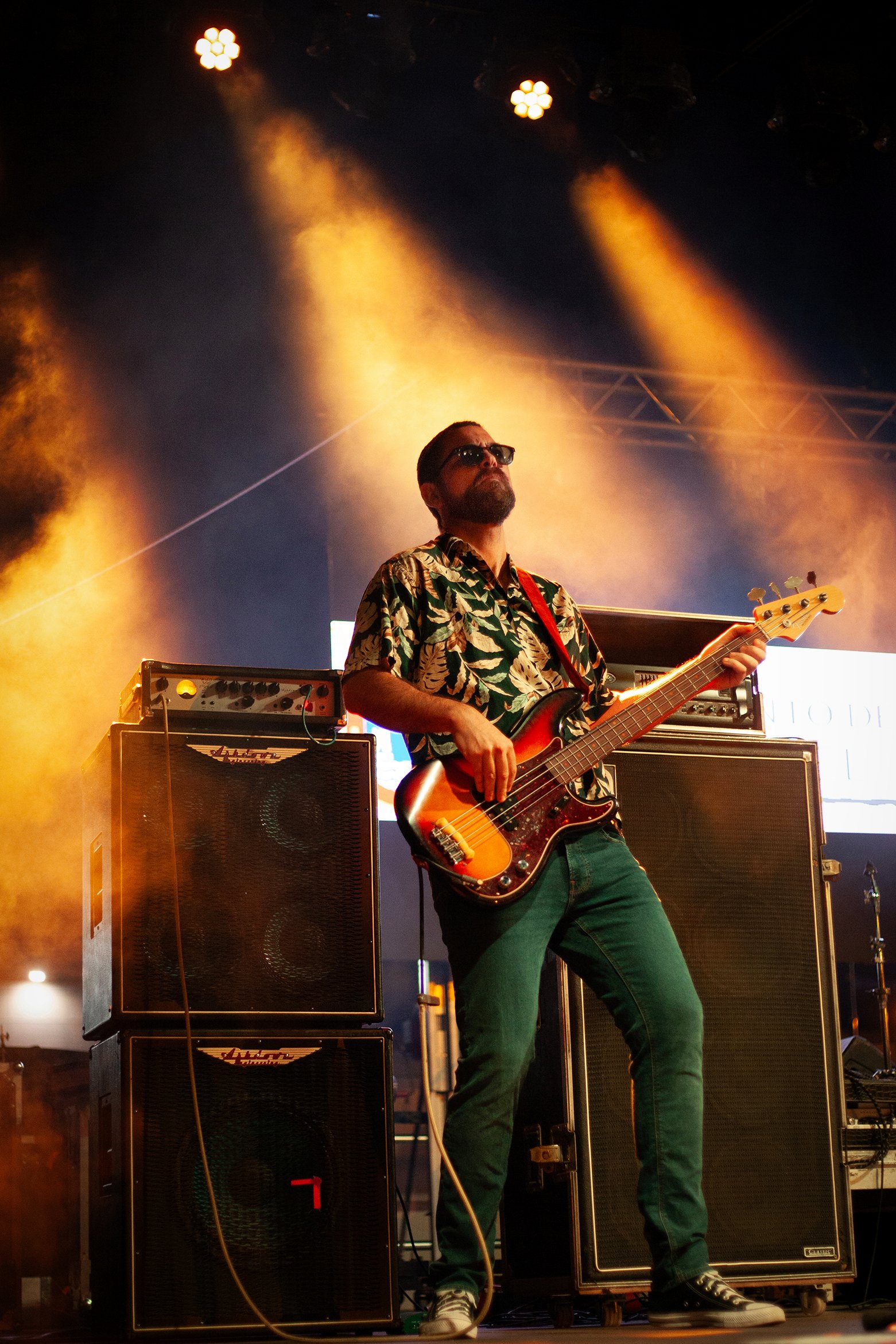 beard guitarist with beard copy.jpg