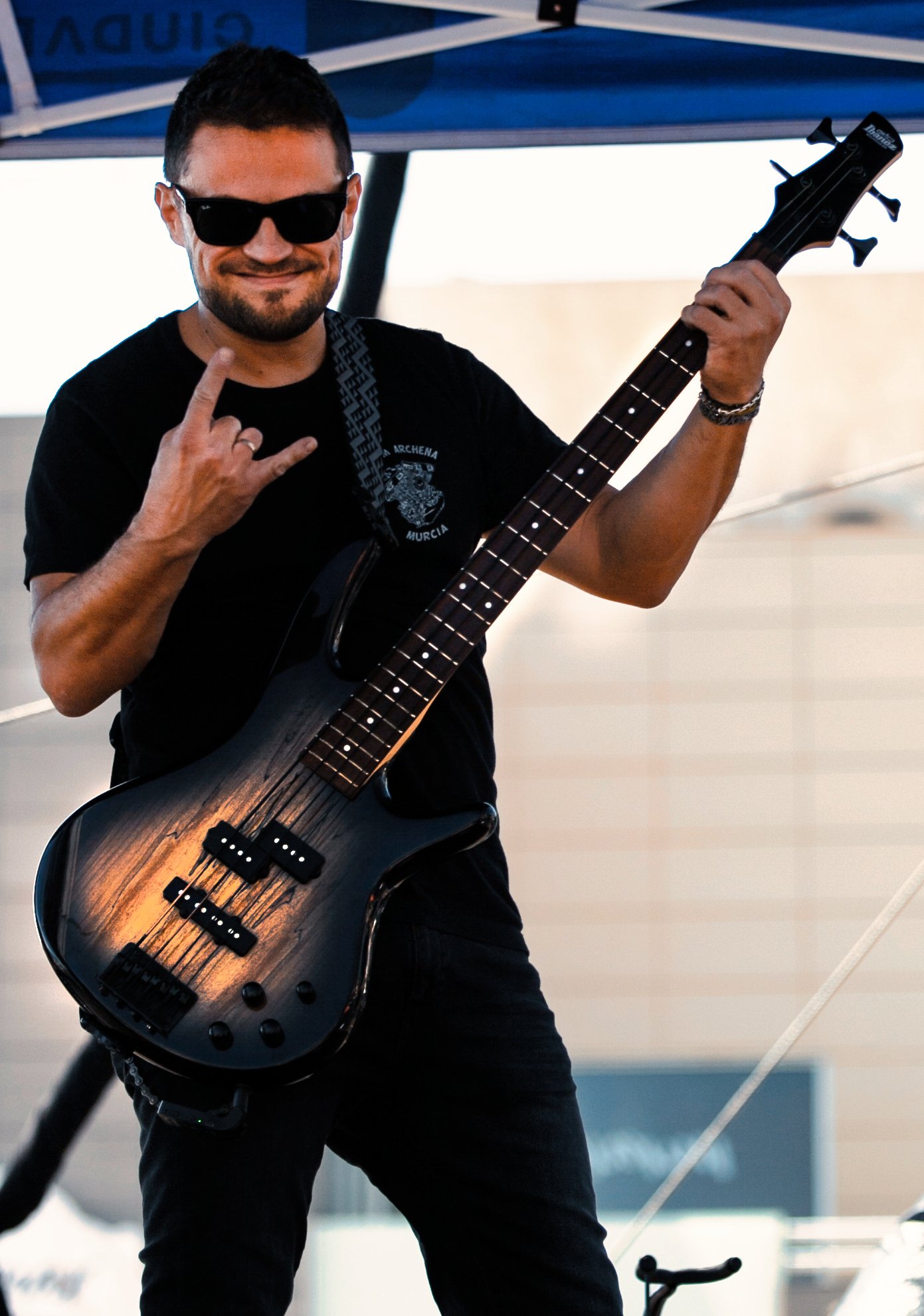 vsign guitarist sig.jpg