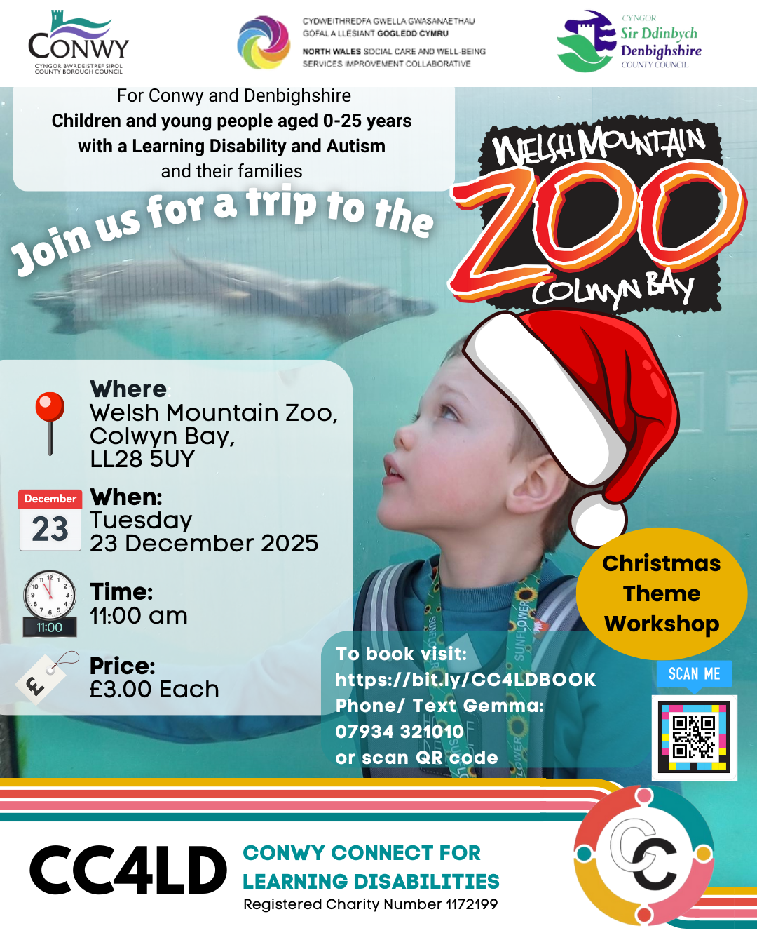 Christmas-themed trip to the Welsh Mountain Zoo, Colwyn Bay!